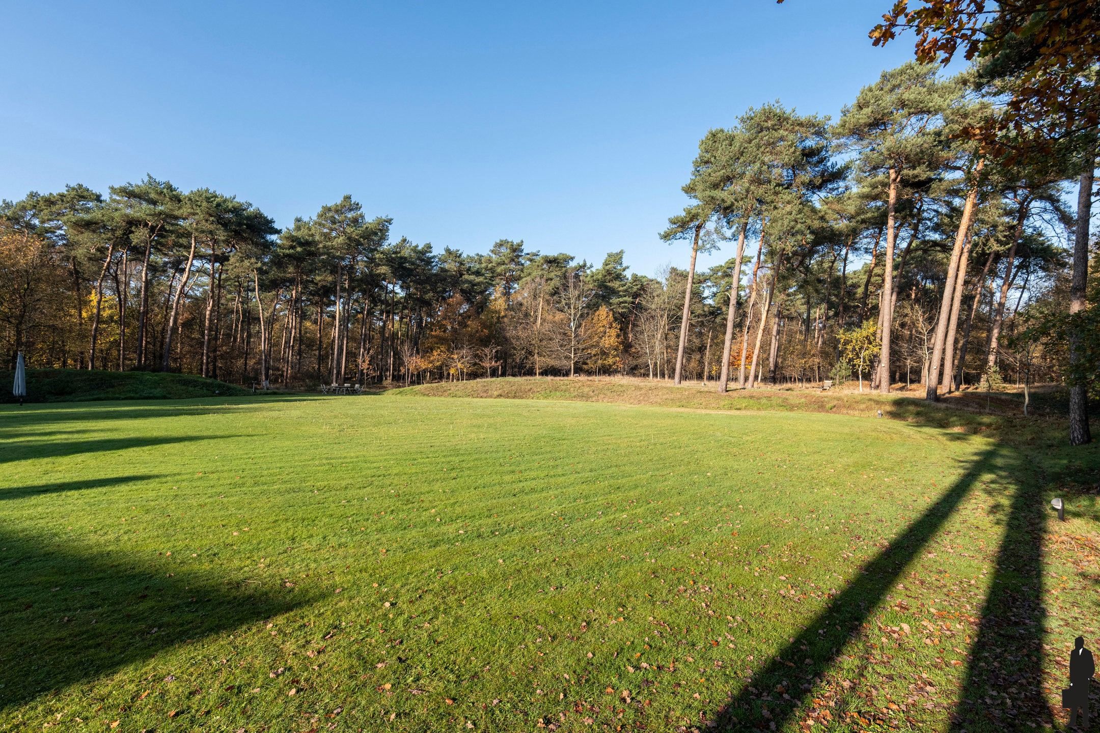 Villa met zwembad en privébos volledig omheind in Retie foto 20