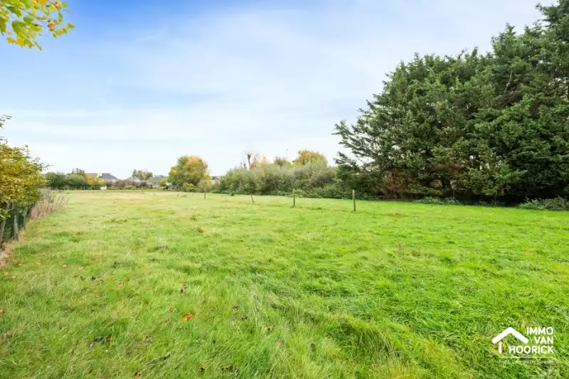 Mooie eigendom - 3 Slaapkamers op 4000m² foto 3
