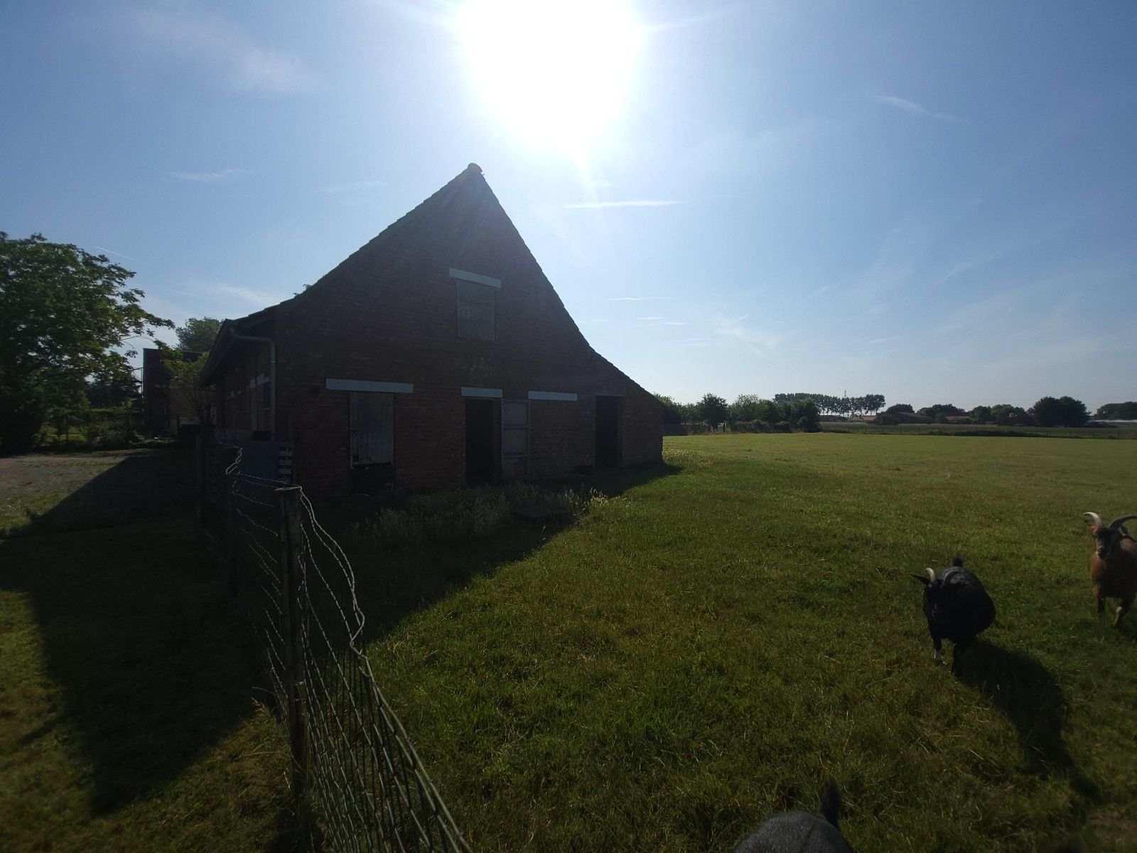 Alleenstaande woning met grote weide en stalling foto 23