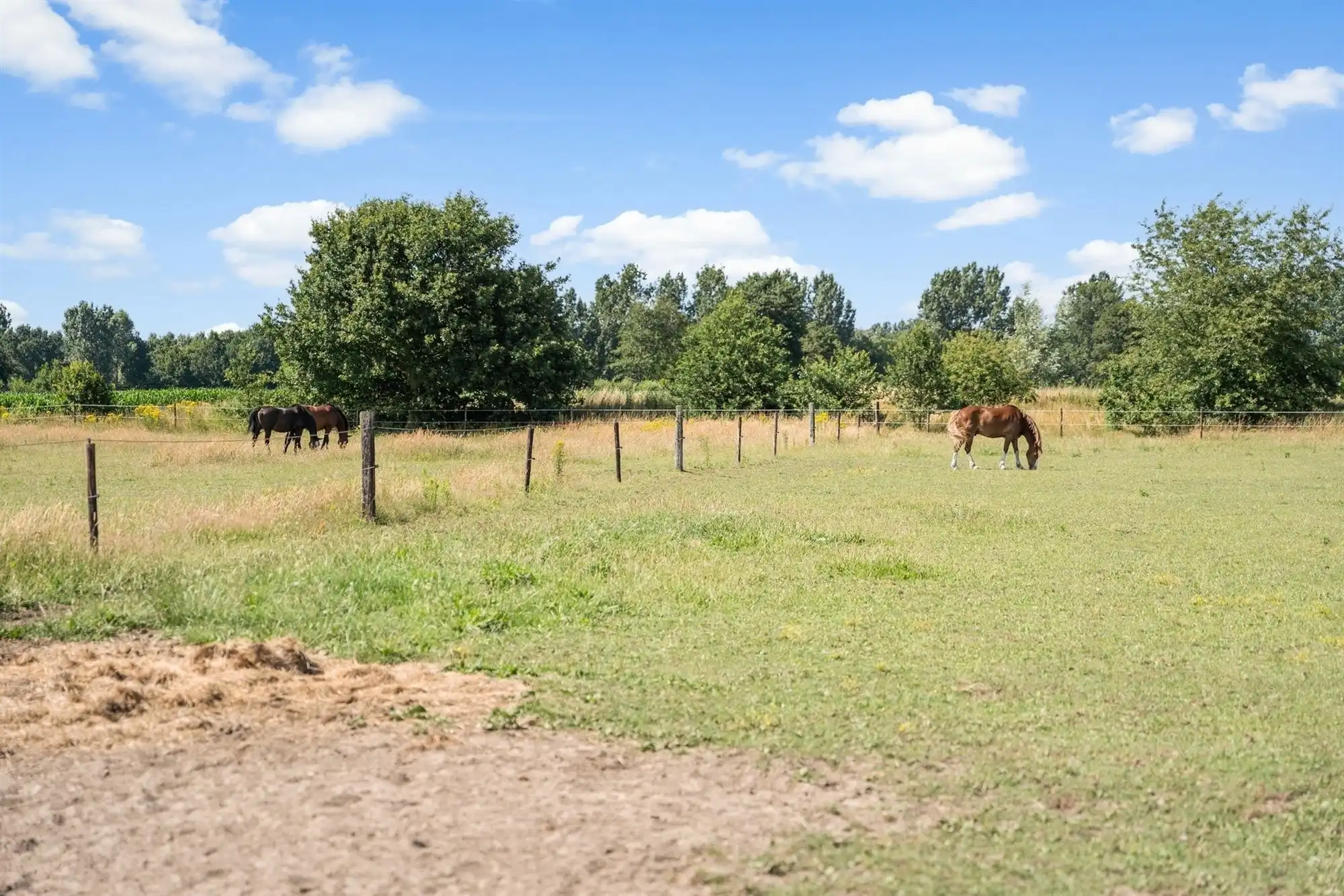 Unieke eigendom van 14.139m² voor paarden- of dierenliefhebbers of wie droomt van ruimte  foto 44