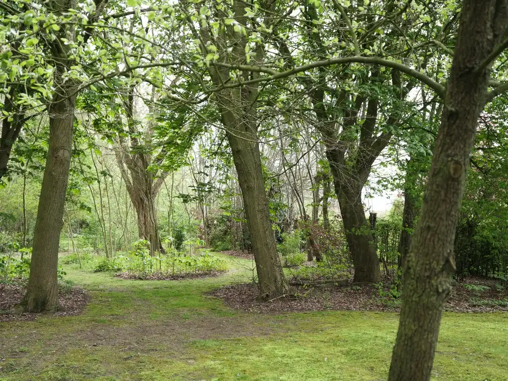 Bijzonder ruime en vrijstaande villa gelegen op een gunstig perceel van ca. 9.700&nbsp;m² in Kruisem foto 11