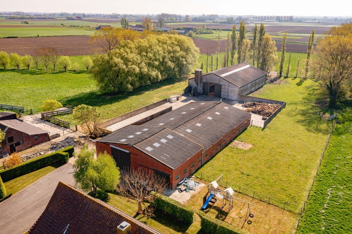 Hoeve met ruime stallen/loods te koop te Kortemark foto 13