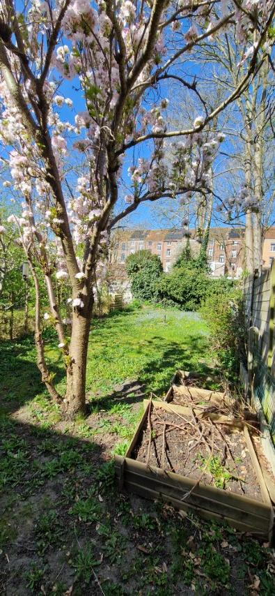 Karaktervolle HERENWONING met mooie leefruimten, 4 slaapkamers en een rustgevende tuin  op 1 are 70 ca.   foto 37
