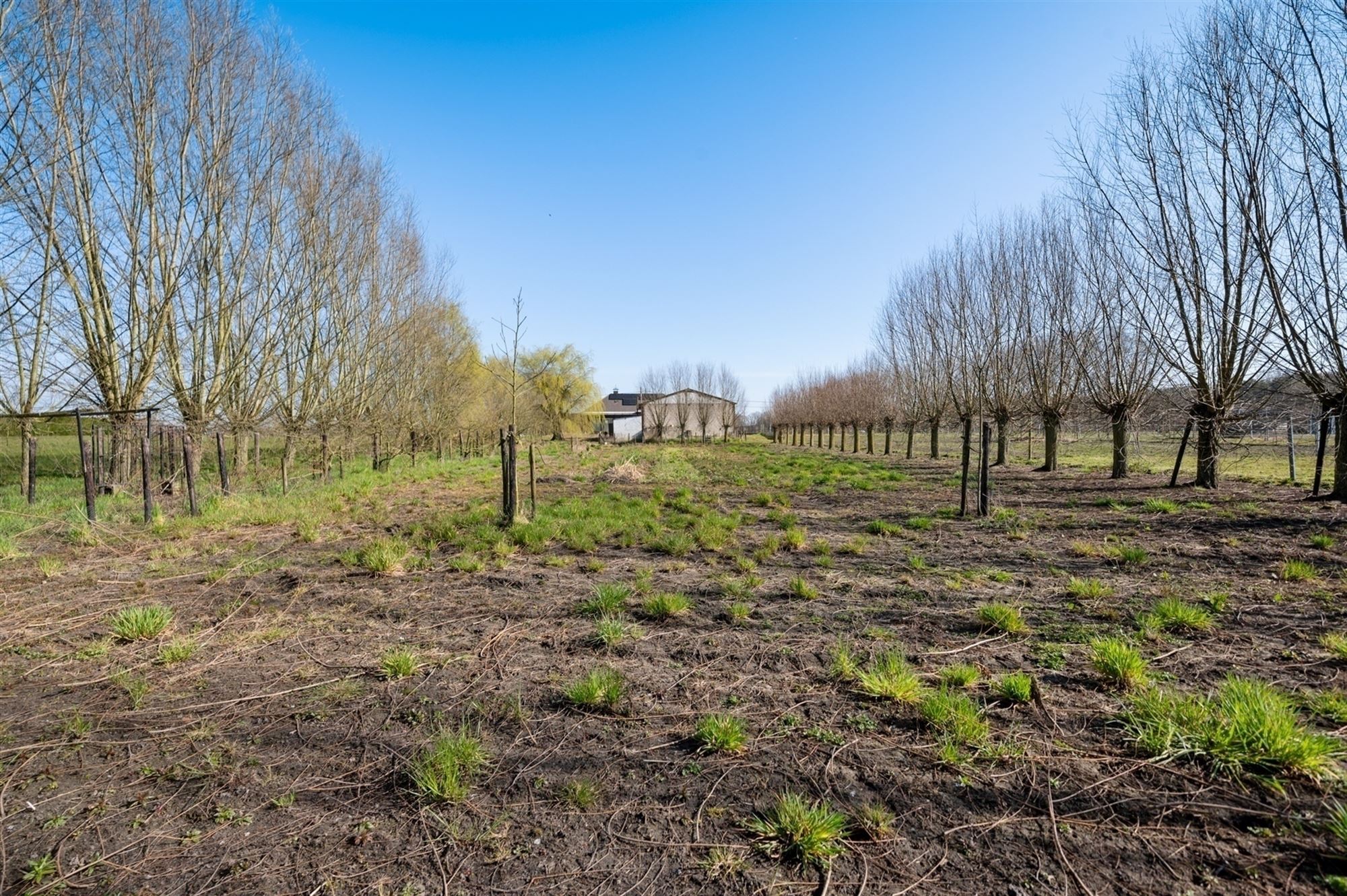 Op te frissen woning met loods te Koningshooikt foto 16