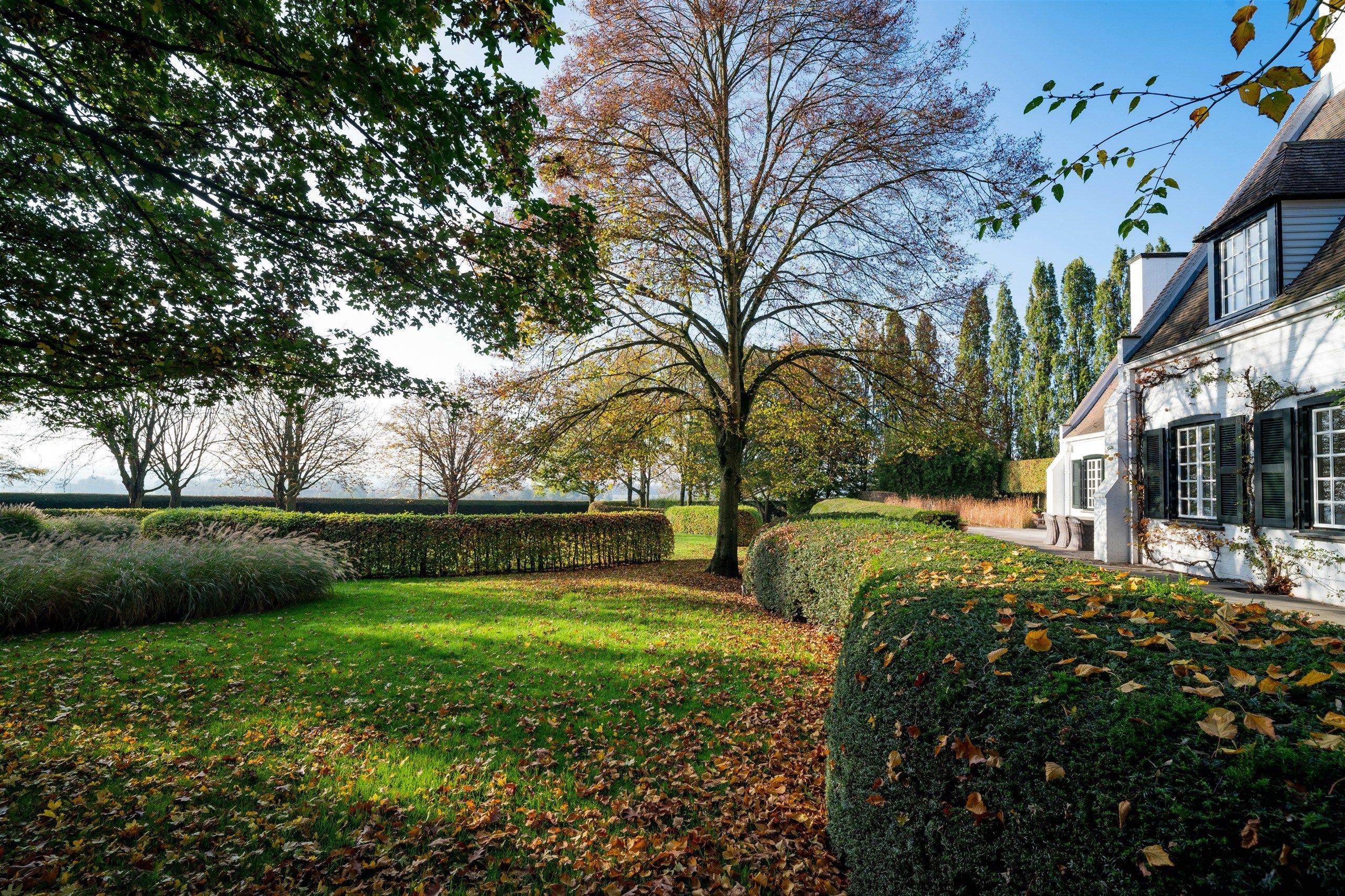 Aan Bellegem bos: Idyllische eigendom op 7.630 m² foto 3