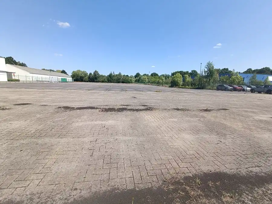 Satenrozen Pierstraat, 2550 Kontich foto 13