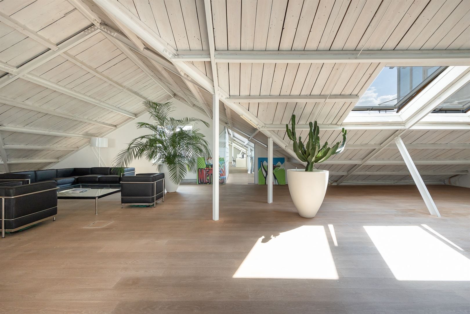 Loft met huge terras  foto 12