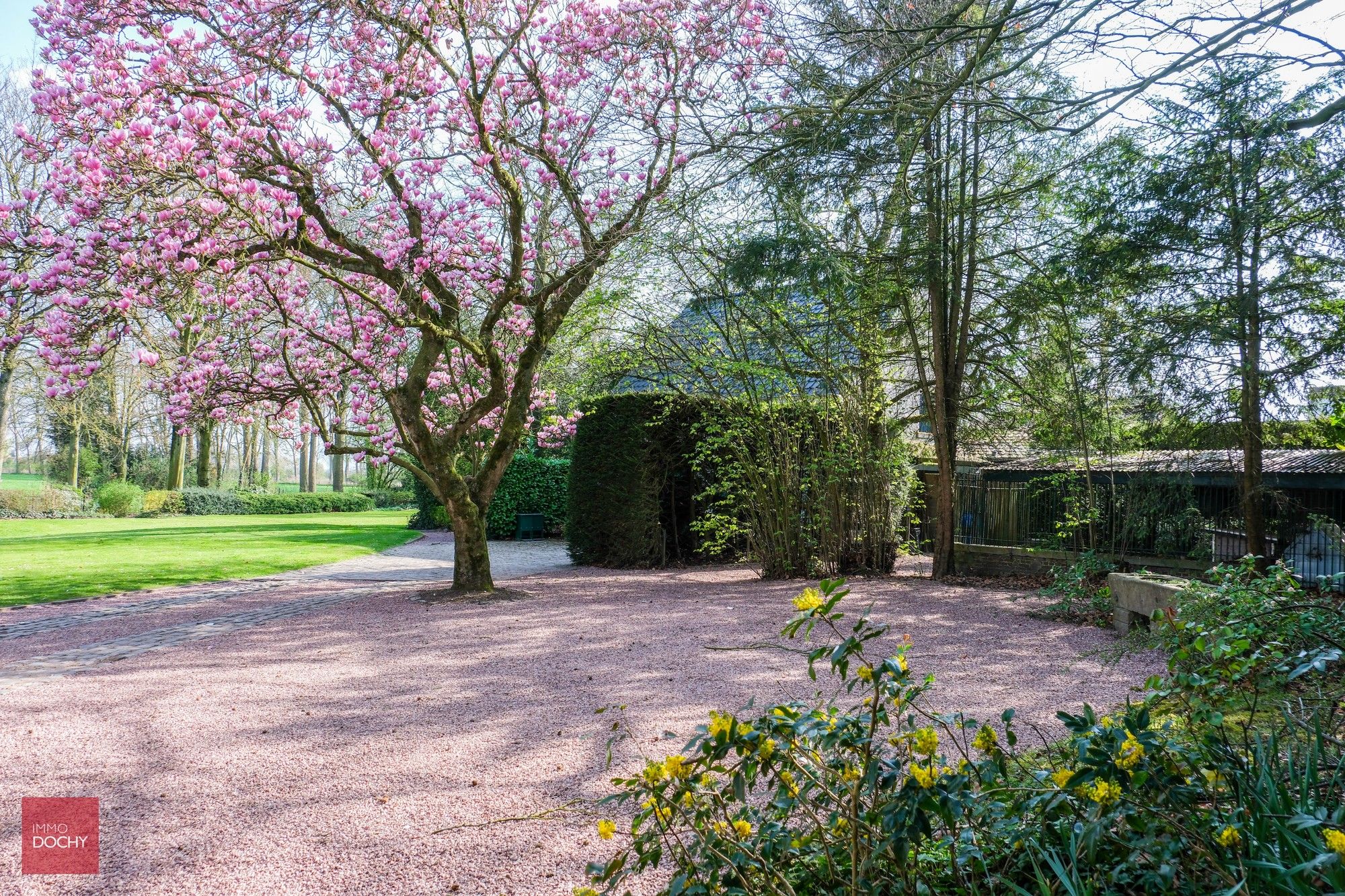 Karaktervolle herenvilla op ca 7.800m² palend aan oude Scheldearm foto 20