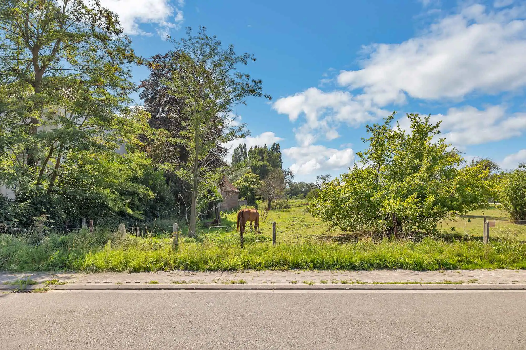 Bouwgrond voor HOB op een rustige en landelijke locatie foto 6