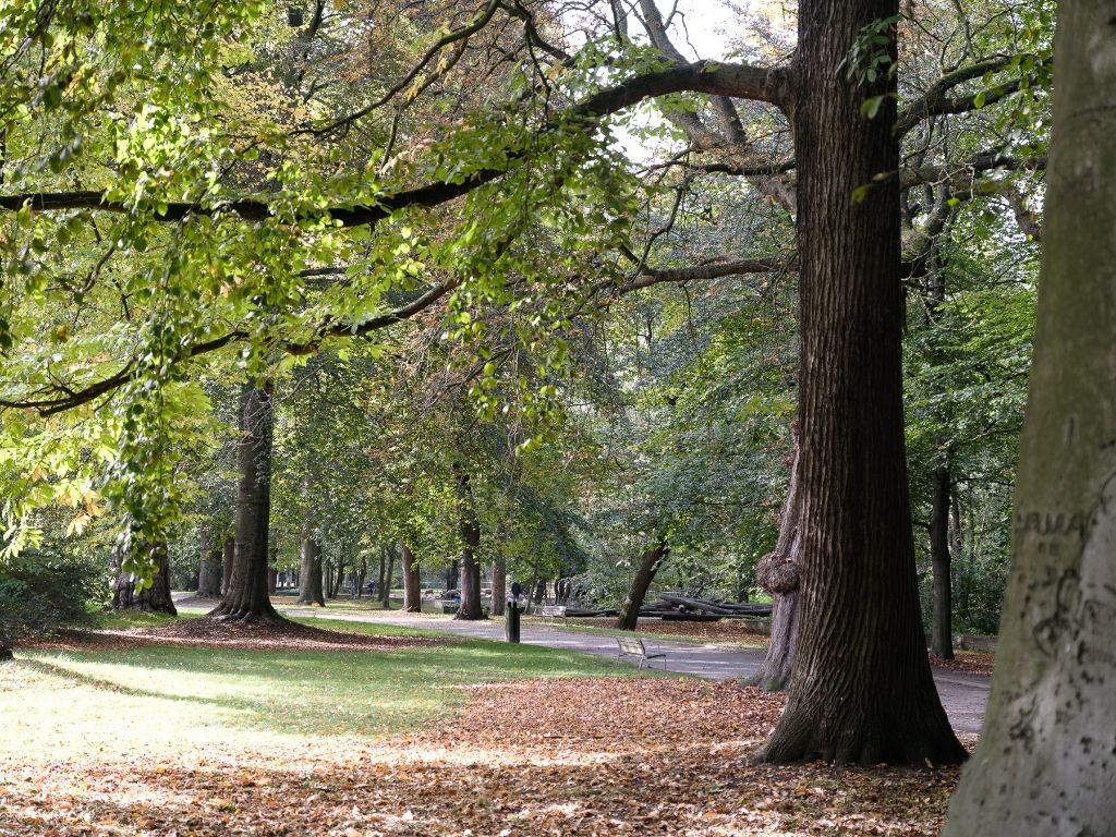 Ruim en instapklaar stadsappartement (163 m²) met zonnige terrassen nabij de Coupure foto 15