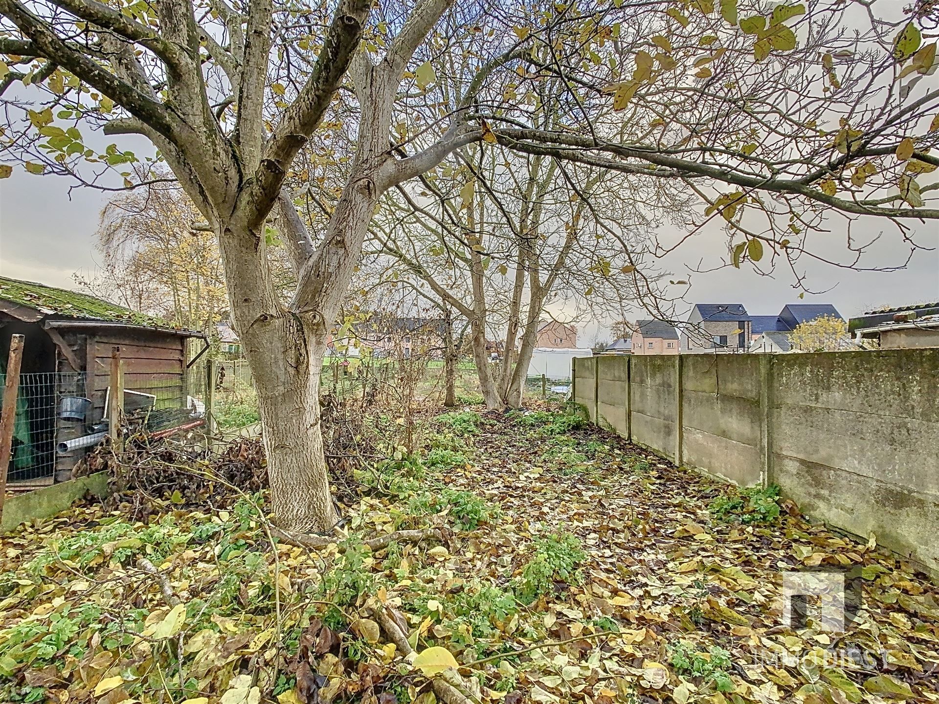 Te renoveren rijwoning met toffe tuin op een perceel van 4 are in het hart van Zichem. foto 25