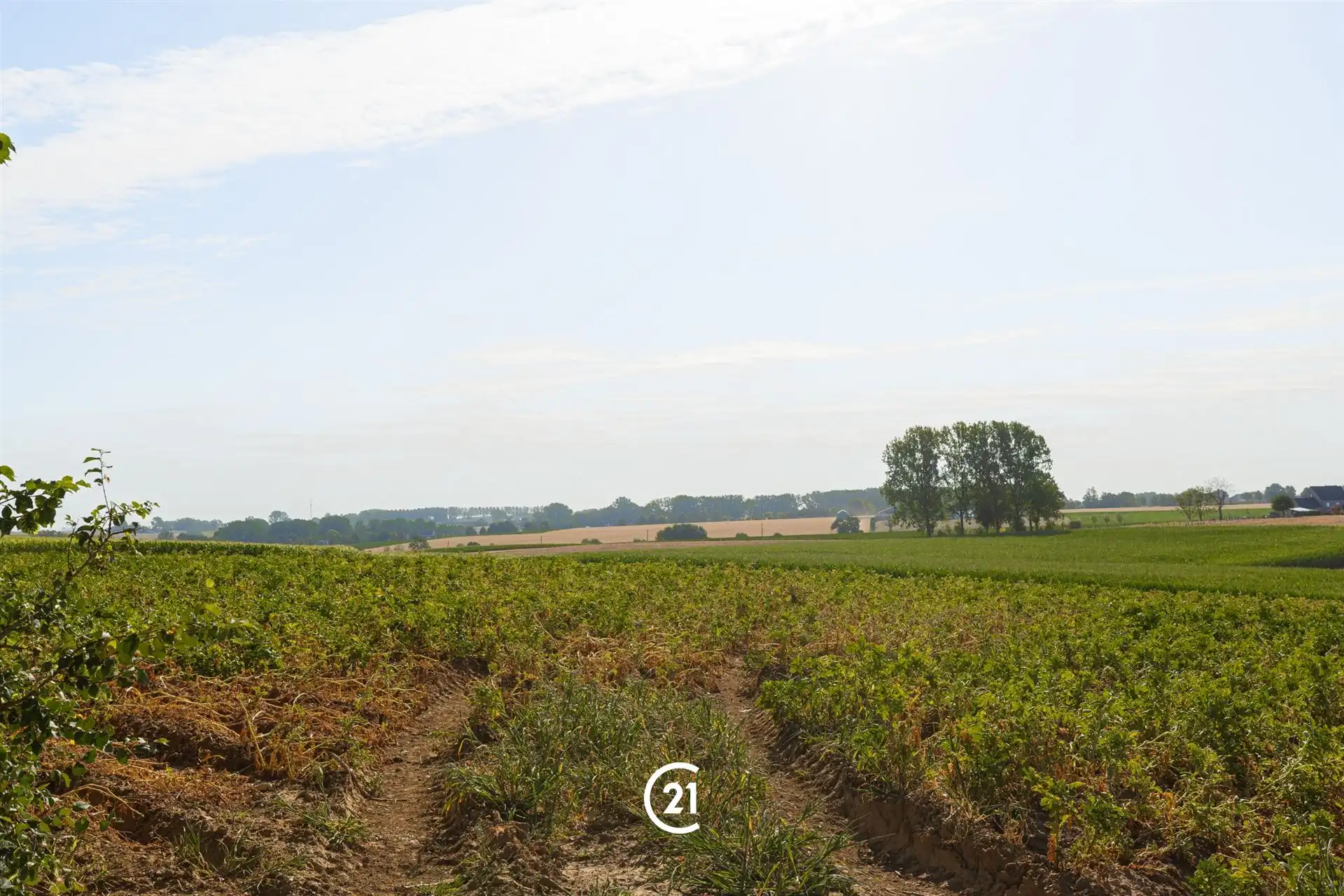 Renovatieproject met prachtige tuin in de Vlaamse Ardennen foto 18