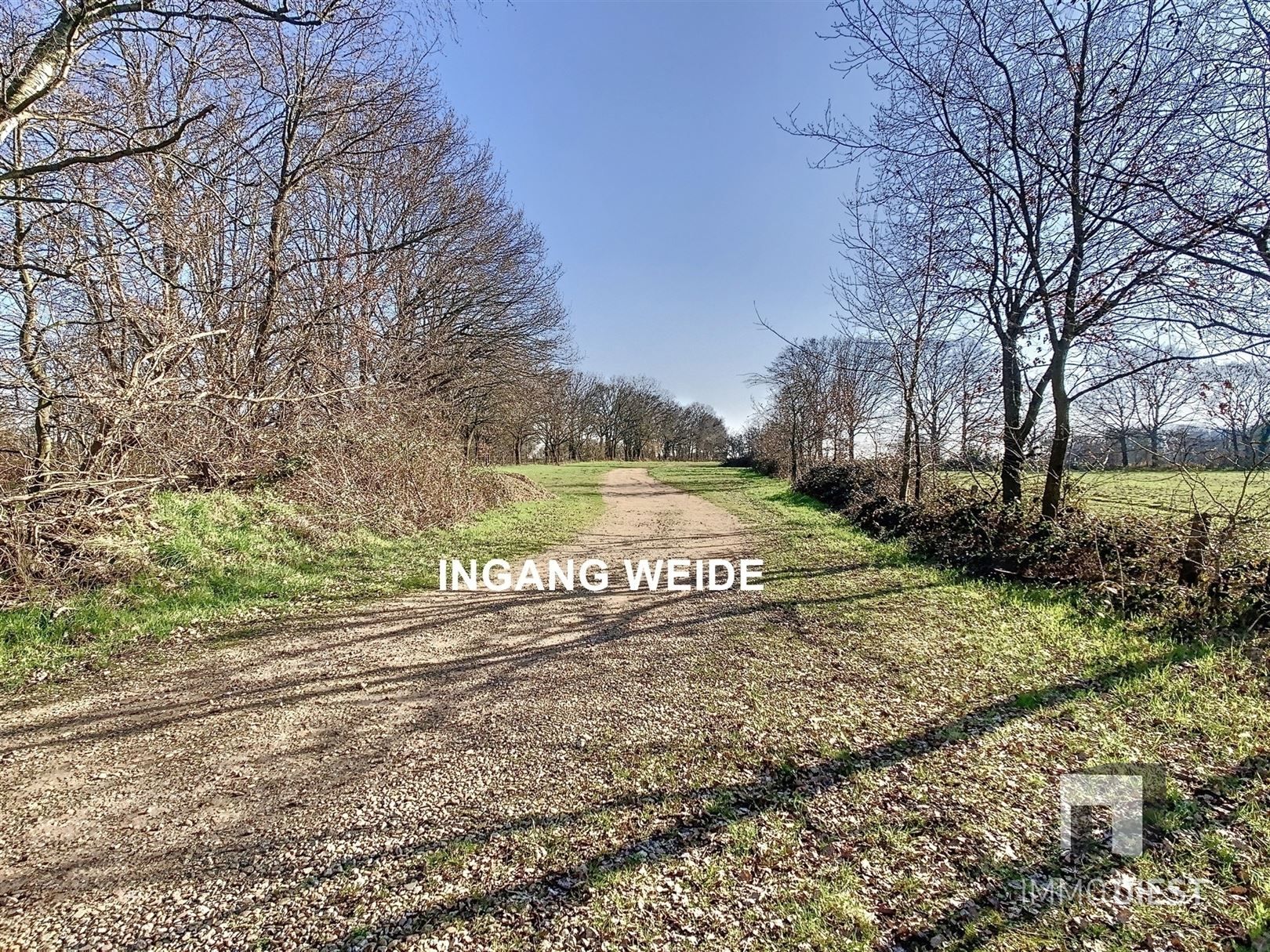 Te renoveren hoeve op 2 ha 82 ca foto 19