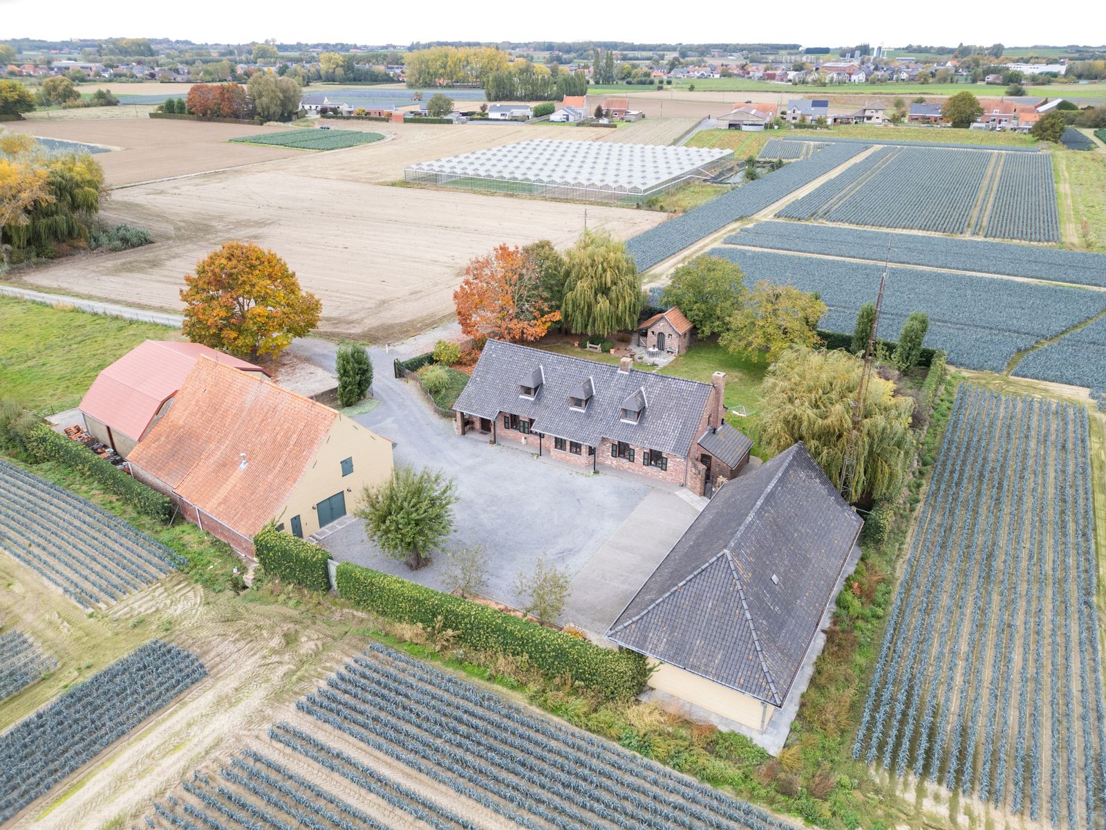 Landhuis met 2 magazijnen, rustig gelegen op 5.388 m² foto 36
