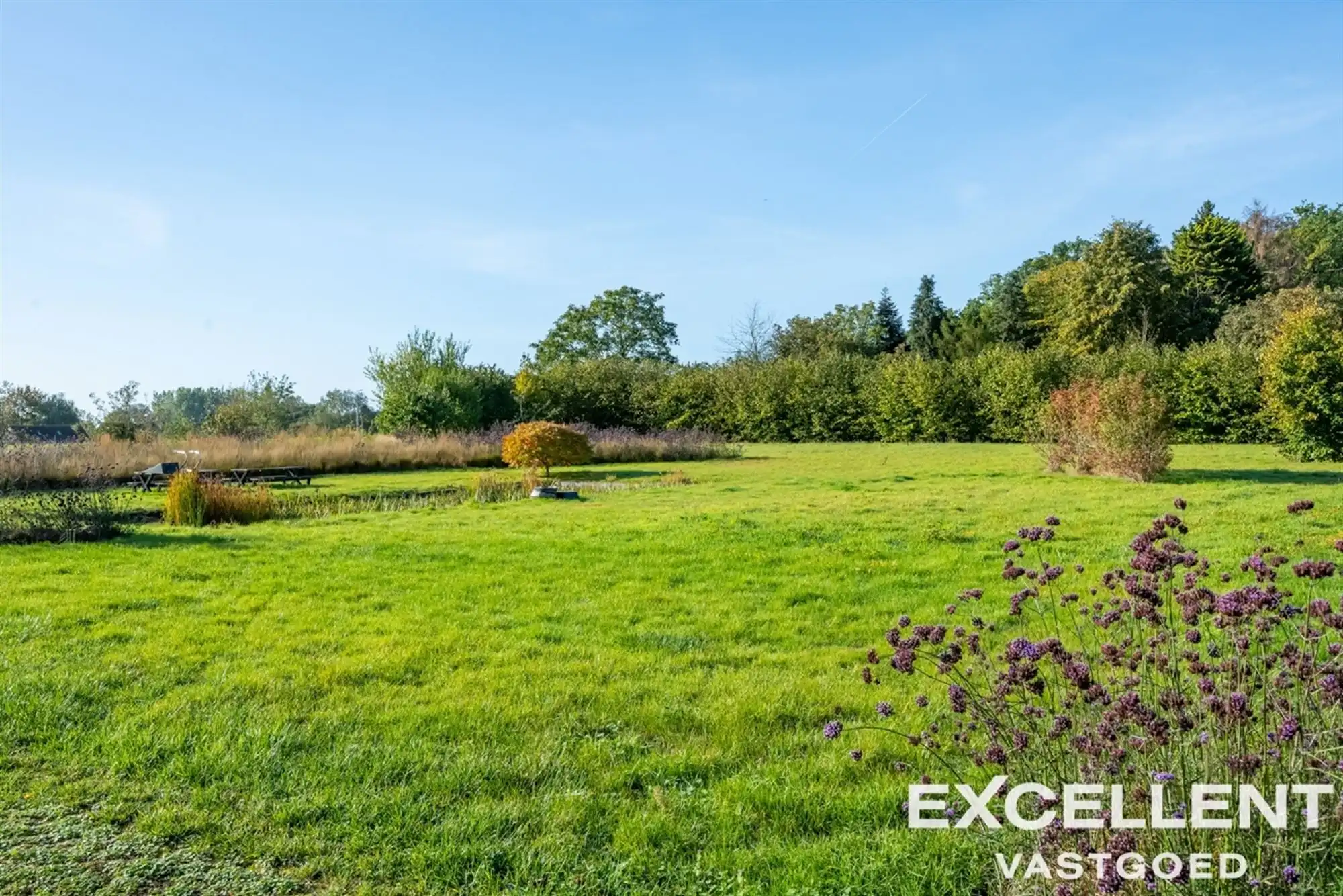 Villa met zwemvijver op een uitzonderlijk perceel foto 6