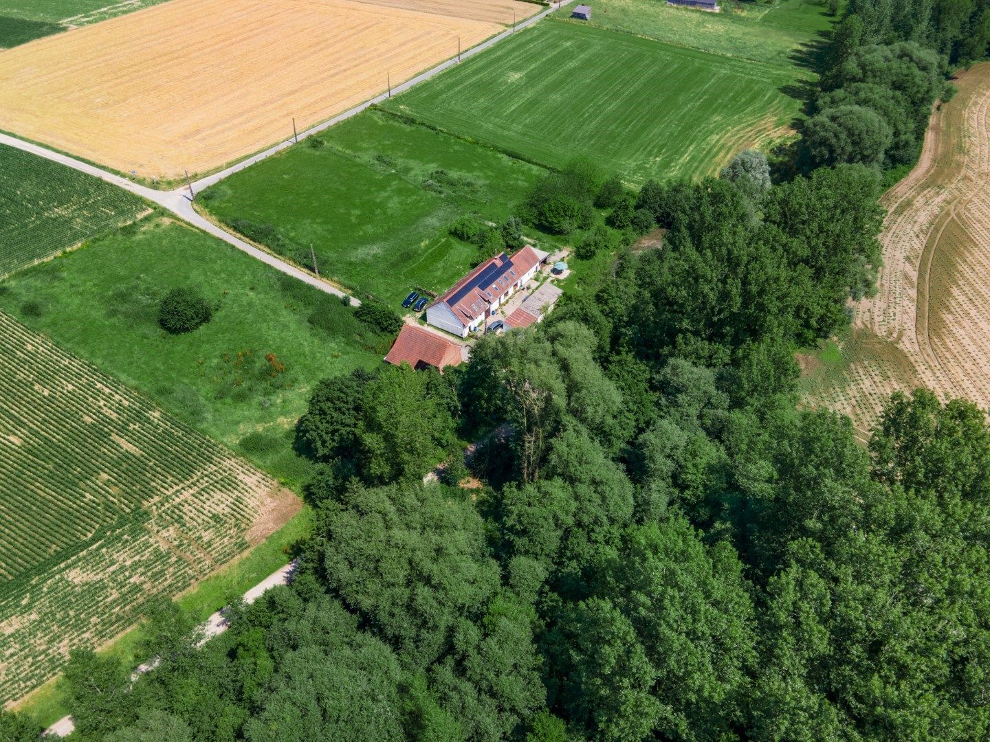 Idyllische hoeve in Mollem met paardenfaciliteiten foto 7