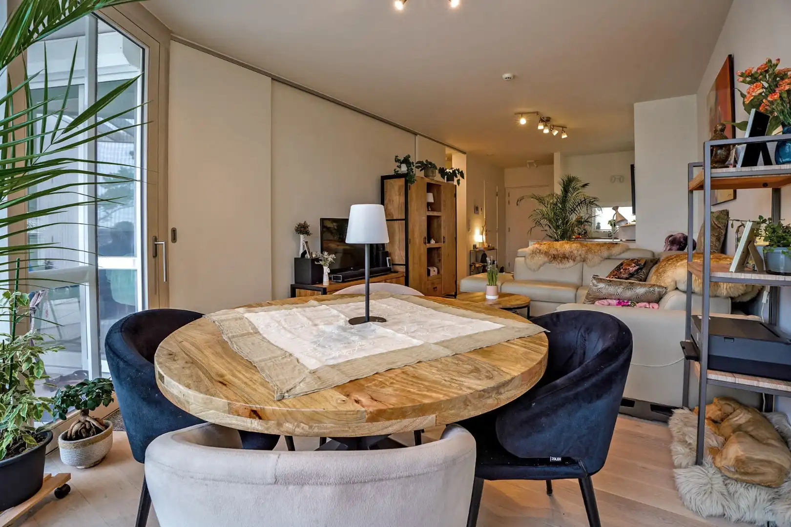 Prachtig 1-slaapkamerappartement met ruim terras (serviceflat) in Residentie Beukenhof, uniek wonen in de dorpskern van Oostduinkerke.  foto 2