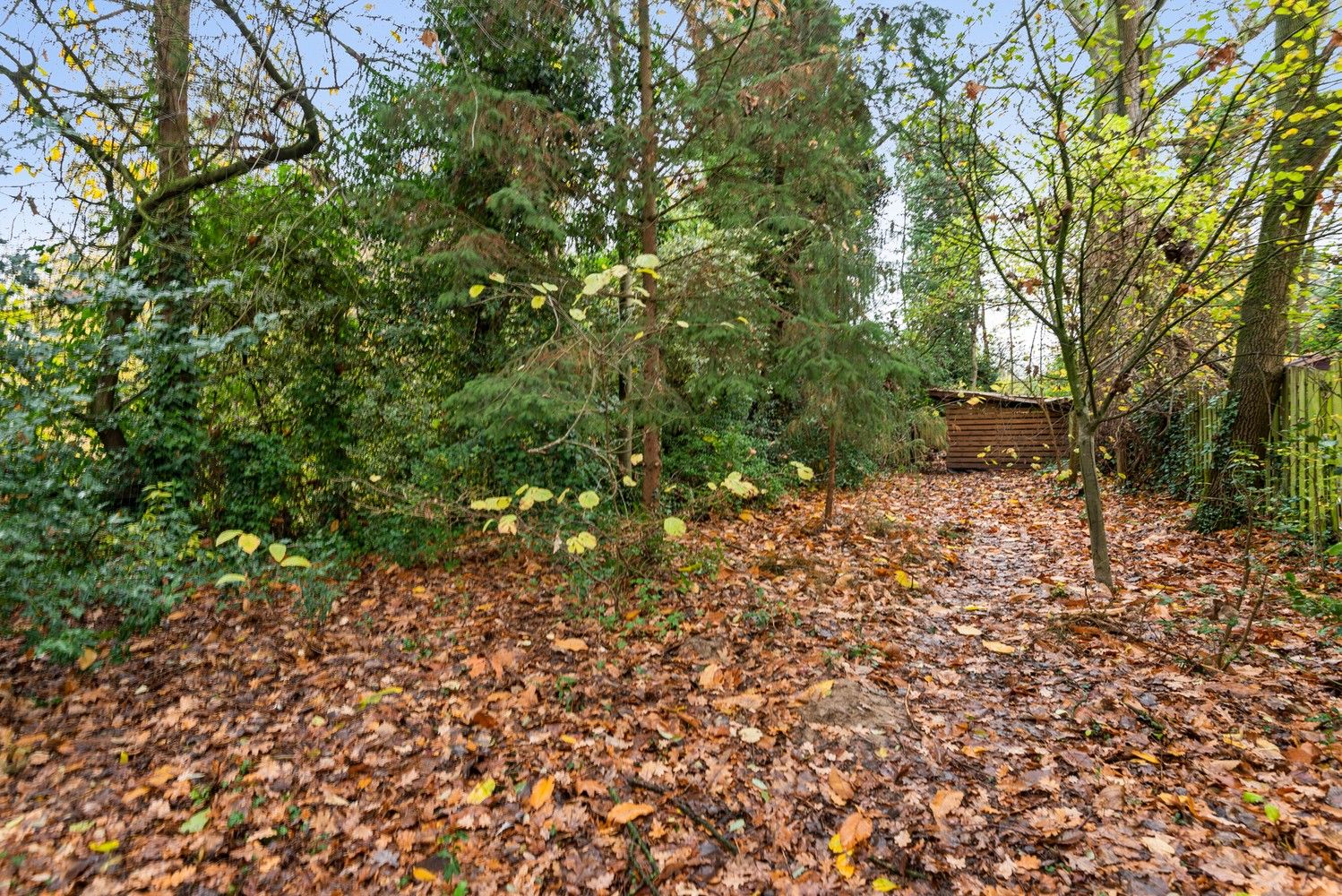 Te renoveren halfopen bebouwing met prachtige tuin op gunstige locatie te Lint foto 23