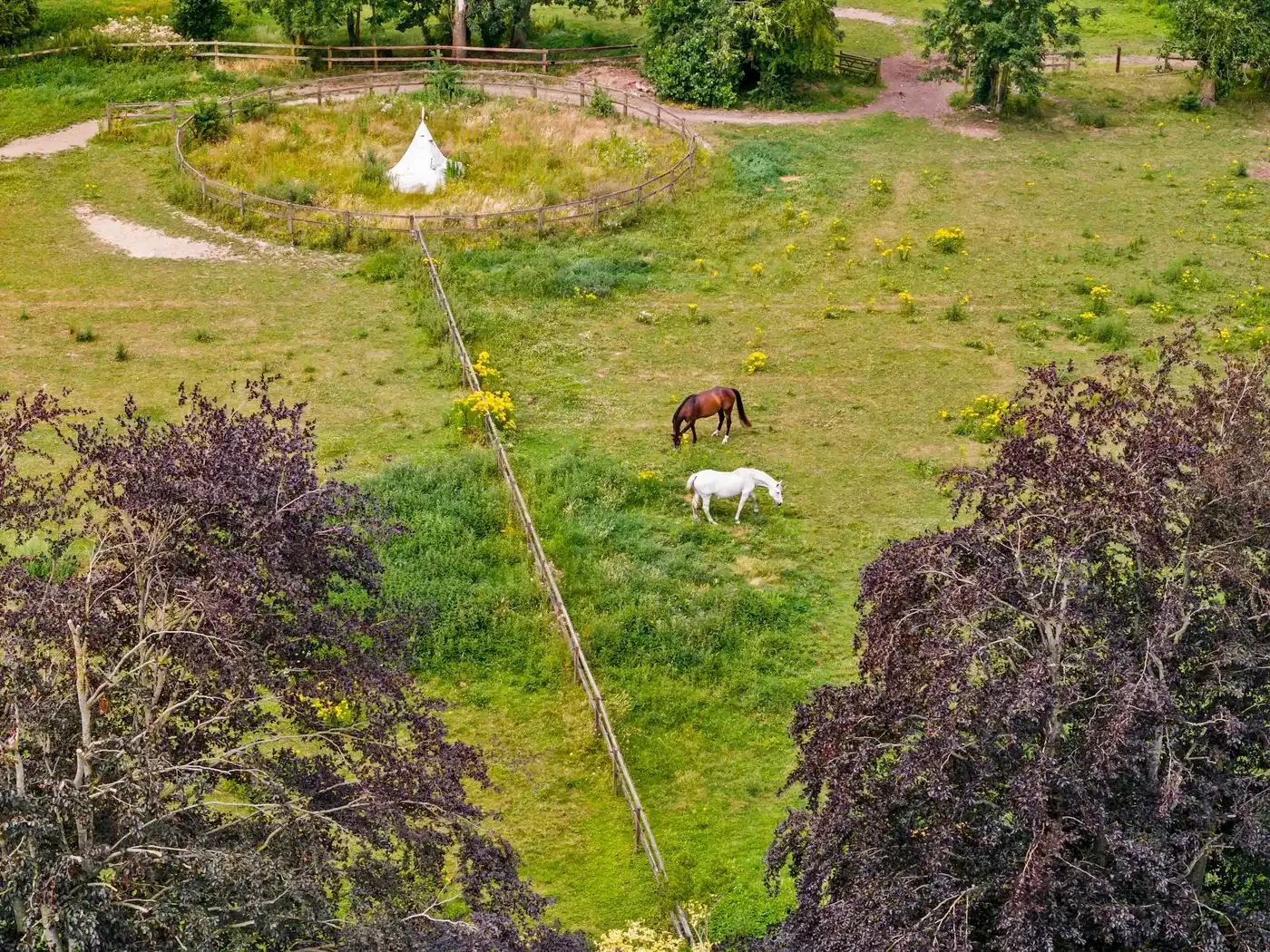 Exclusieve landelijke villa met paardenaccommodatie op ca 1,6ha foto 33