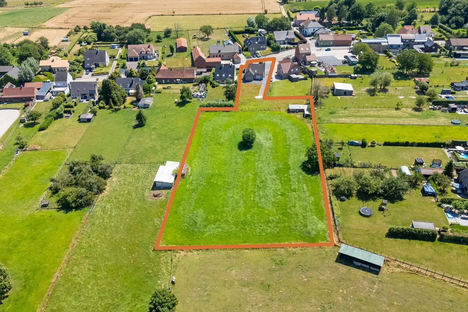 Ruime gezinswoning met weide op 7065m² foto 2