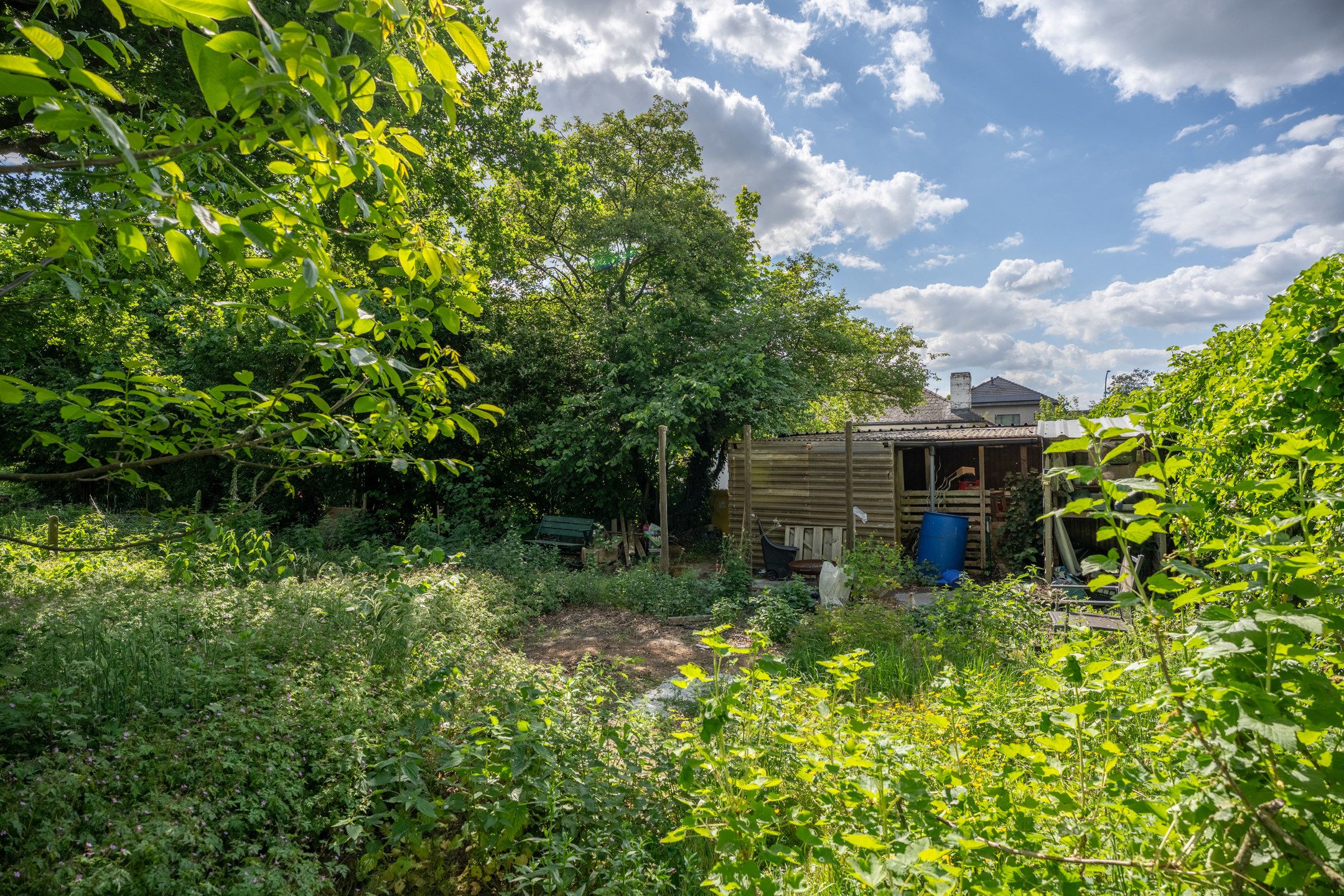 Te renoveren gelijkvloerswoning op mooi perceel van 1.437 m² foto 35