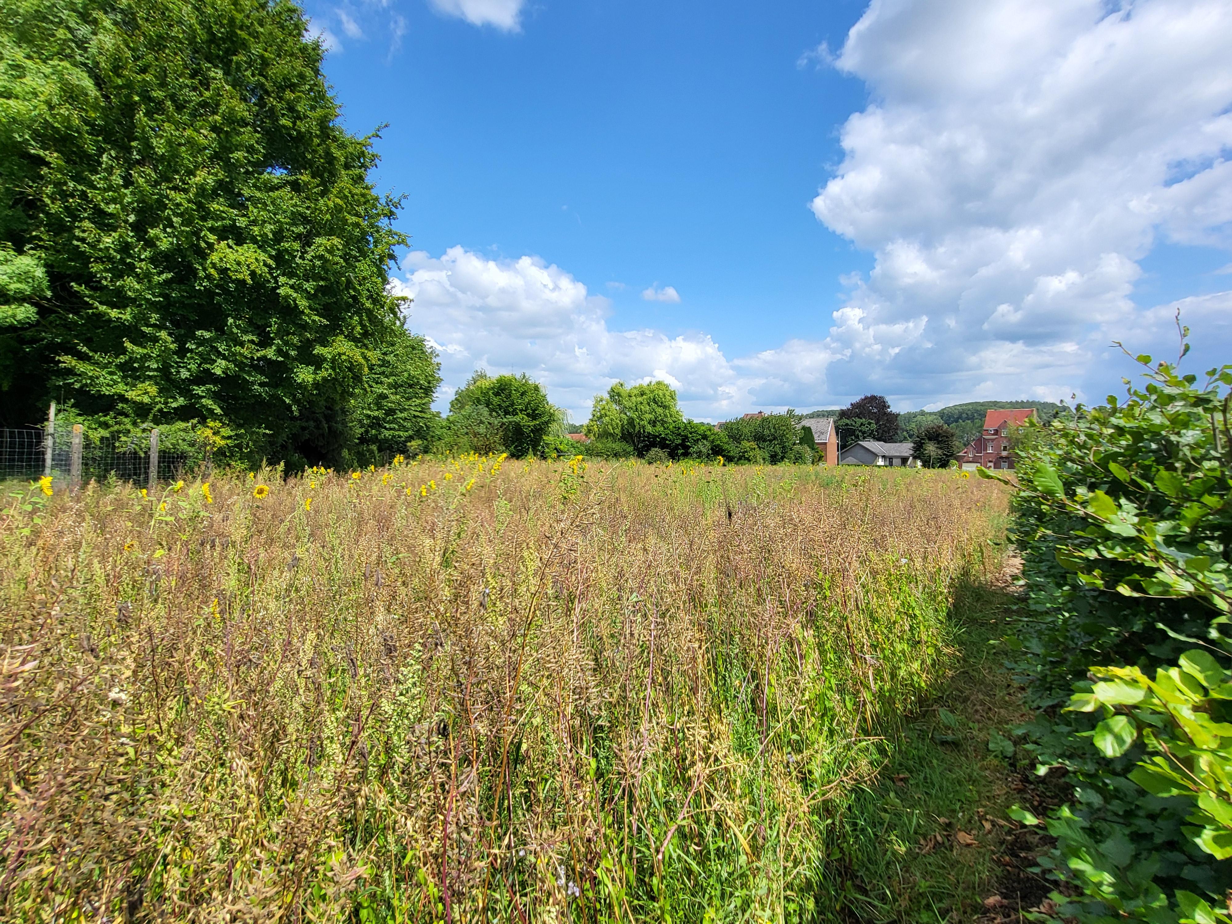Prachtige nieuwbouwwoning van 2016 hob op 279m² hartje Vlaamse Ardennen met zonnepanelen.  Aanrader!! foto 10