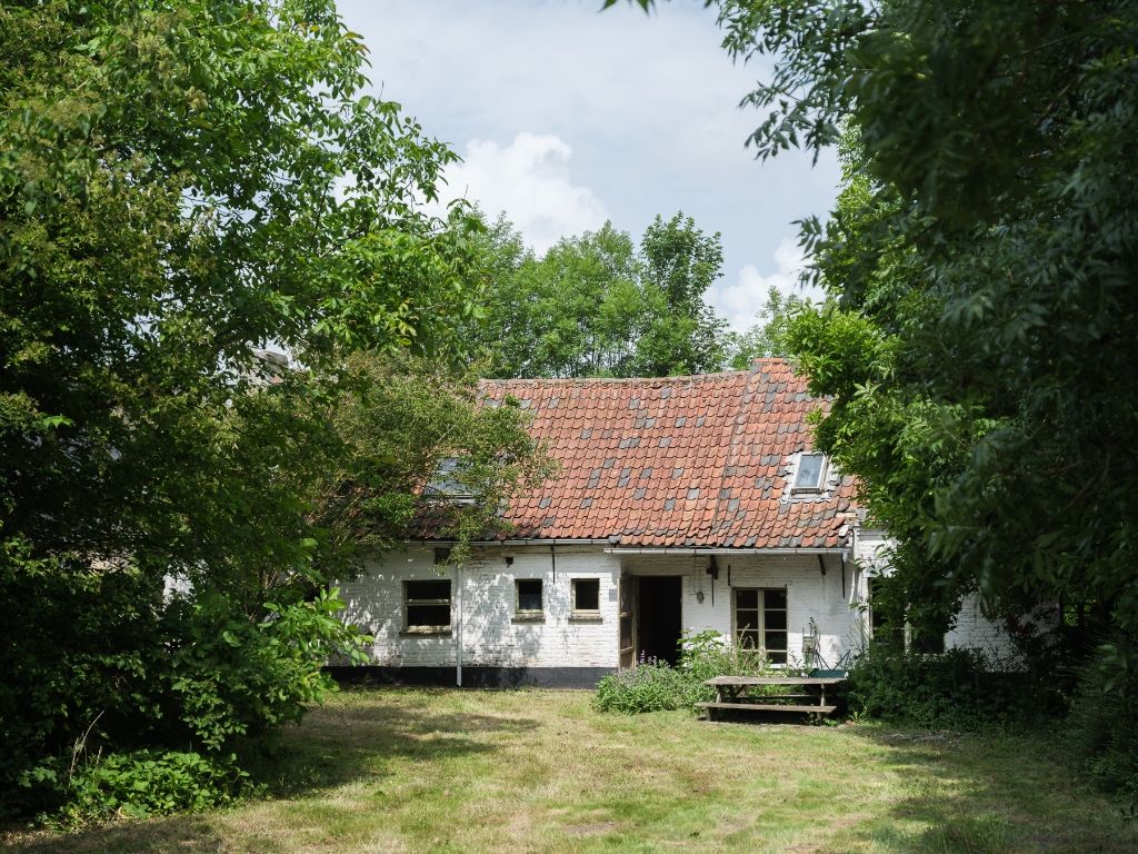 Dikkelvenne – Terrein van 2.179 m² met op heden nog een te renoveren hoeve, omgeven door groen en weides. foto 2