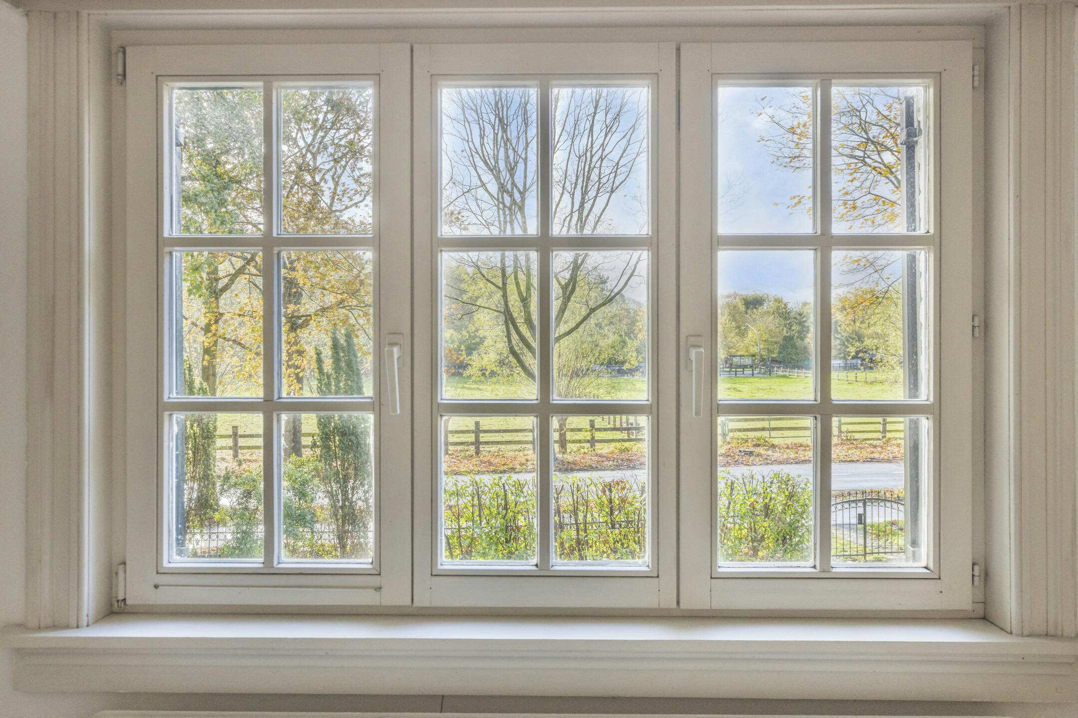 Charmant huis te koop in Putte-Kapellen met grote tuin foto 17