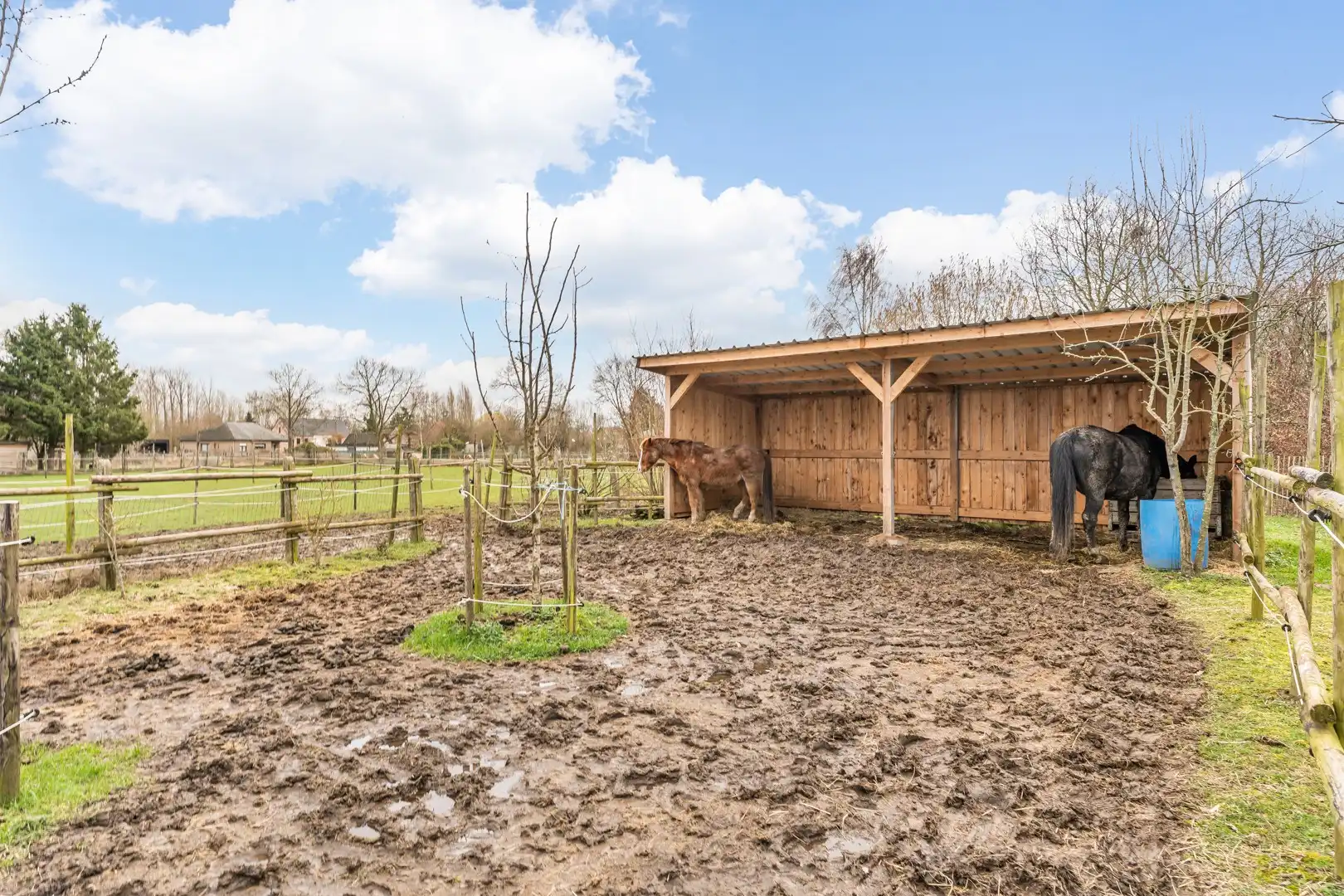 Instapklare woning op ruim perceel met bijgebouw – ideaal voor dierenliefhebbers foto 29