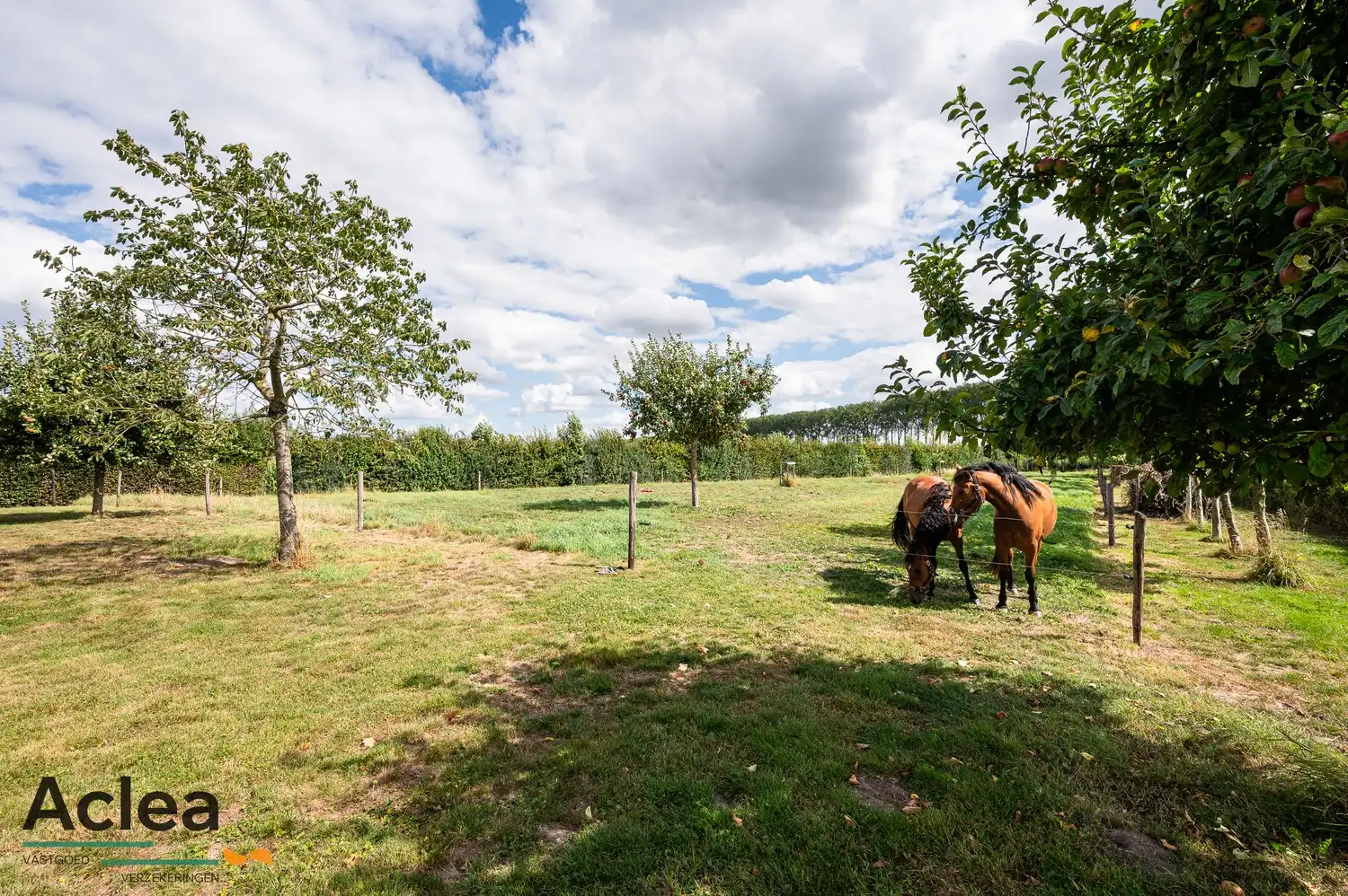 Karaktervol landhuis met paardenstal op 5.943m² in een groene omgeving foto 4
