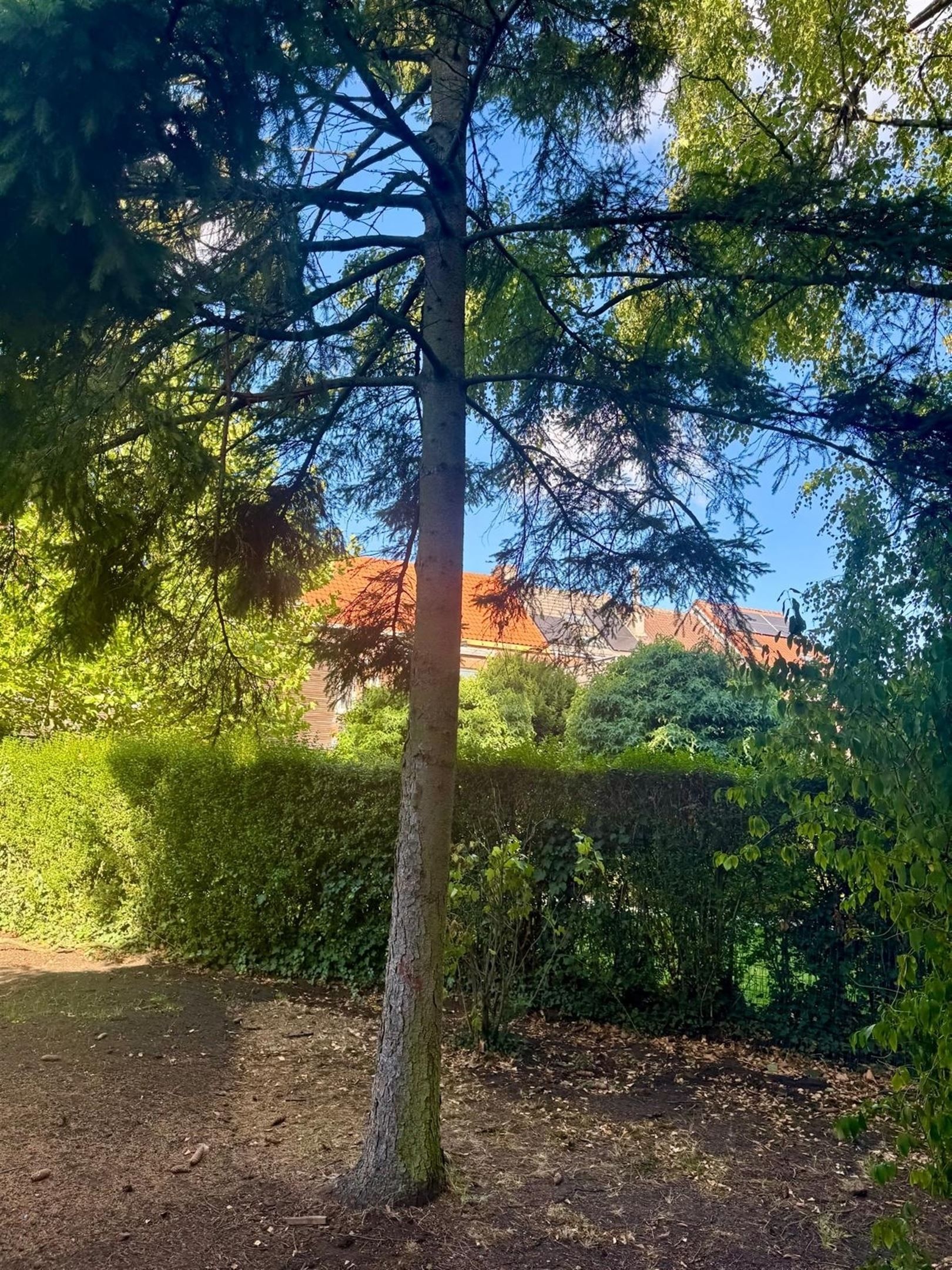 Nieuwbouw HOB in een rustige dreef foto 14