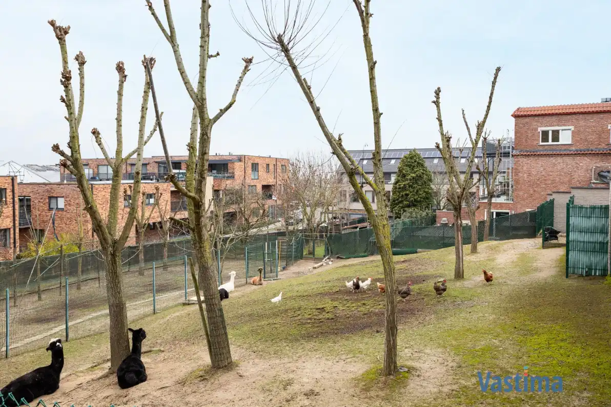 Instapklaar appartement met royaal terras en staanplaats foto 22