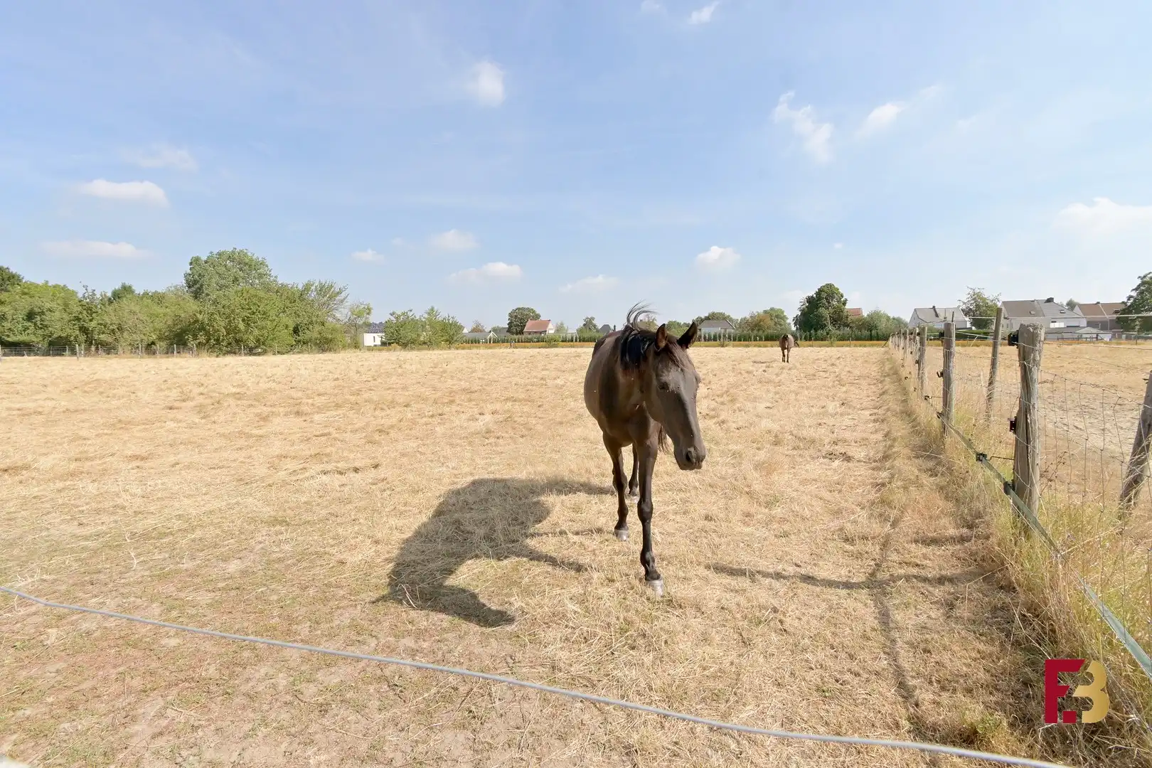 Instapklaar wonen met paarden aan huis in Wetteren foto 19