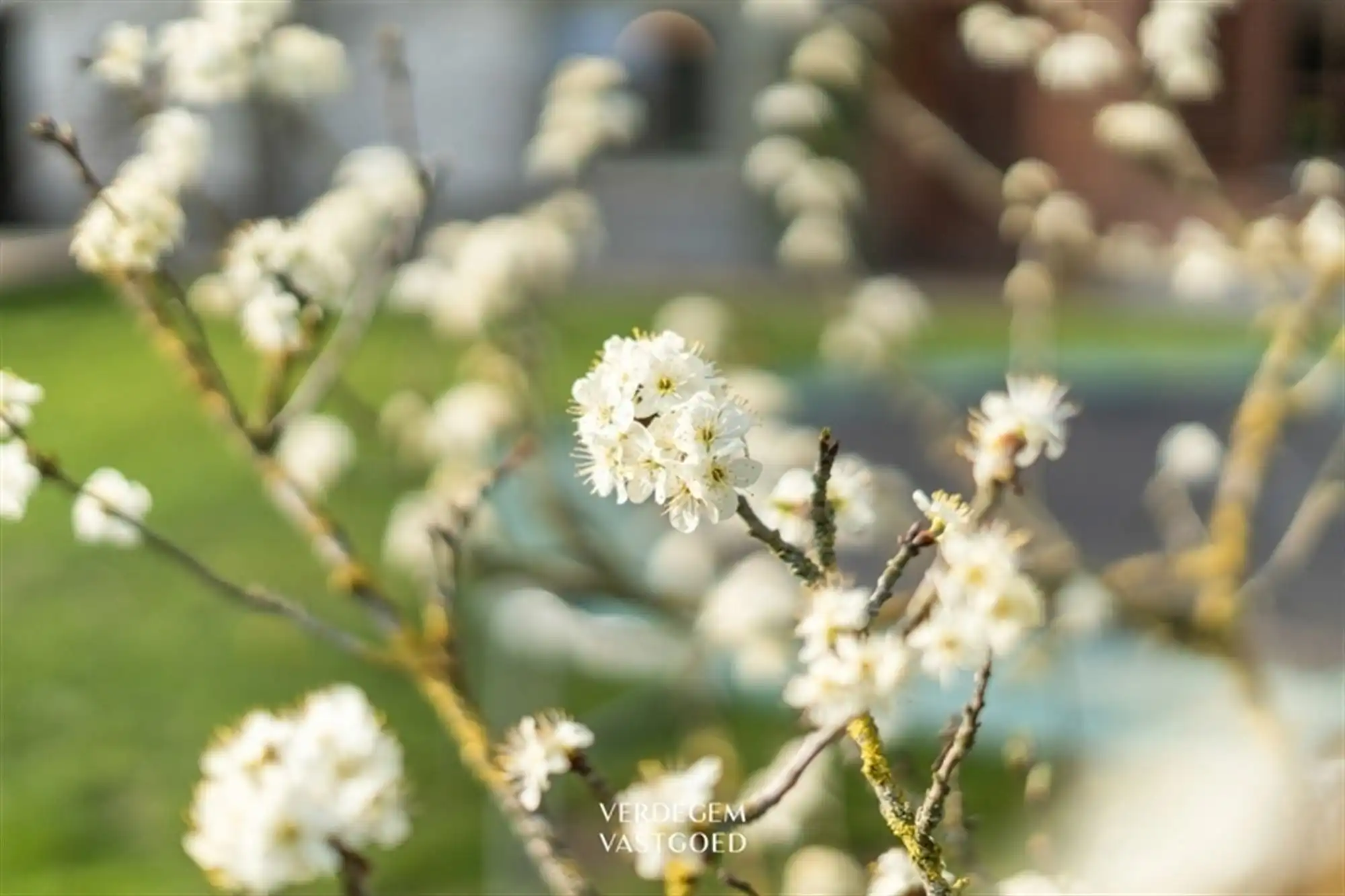 Unieke eigendom boordevol charme en mogelijkheden in het centrum van Evergem foto 4