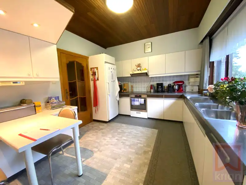 Ruime woning met tuin, 2 grote garages en kelder op grond groot 688m² foto 8