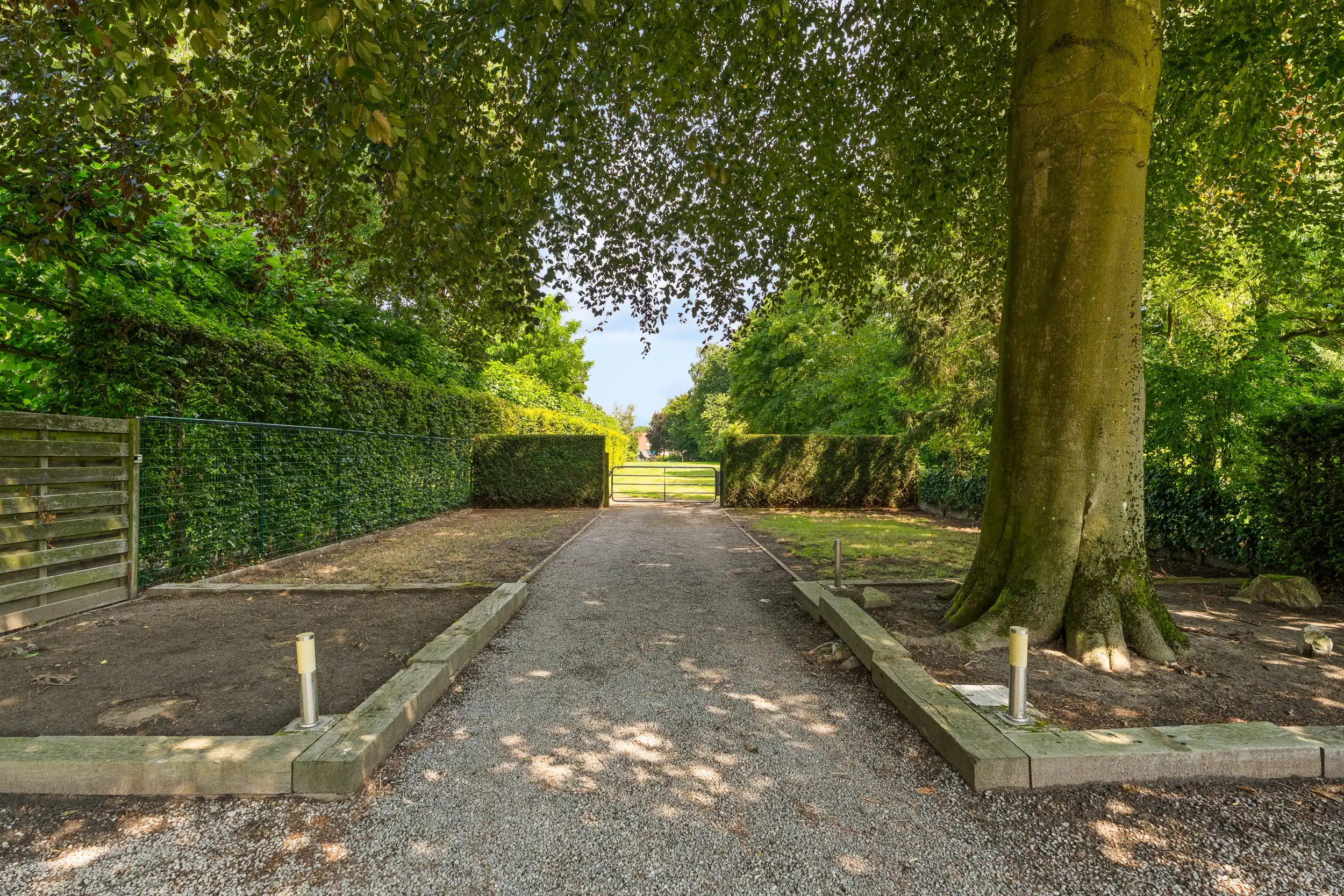 Gerenoveerde woning + achterliggend perceel ( 3.359 m²) foto 4
