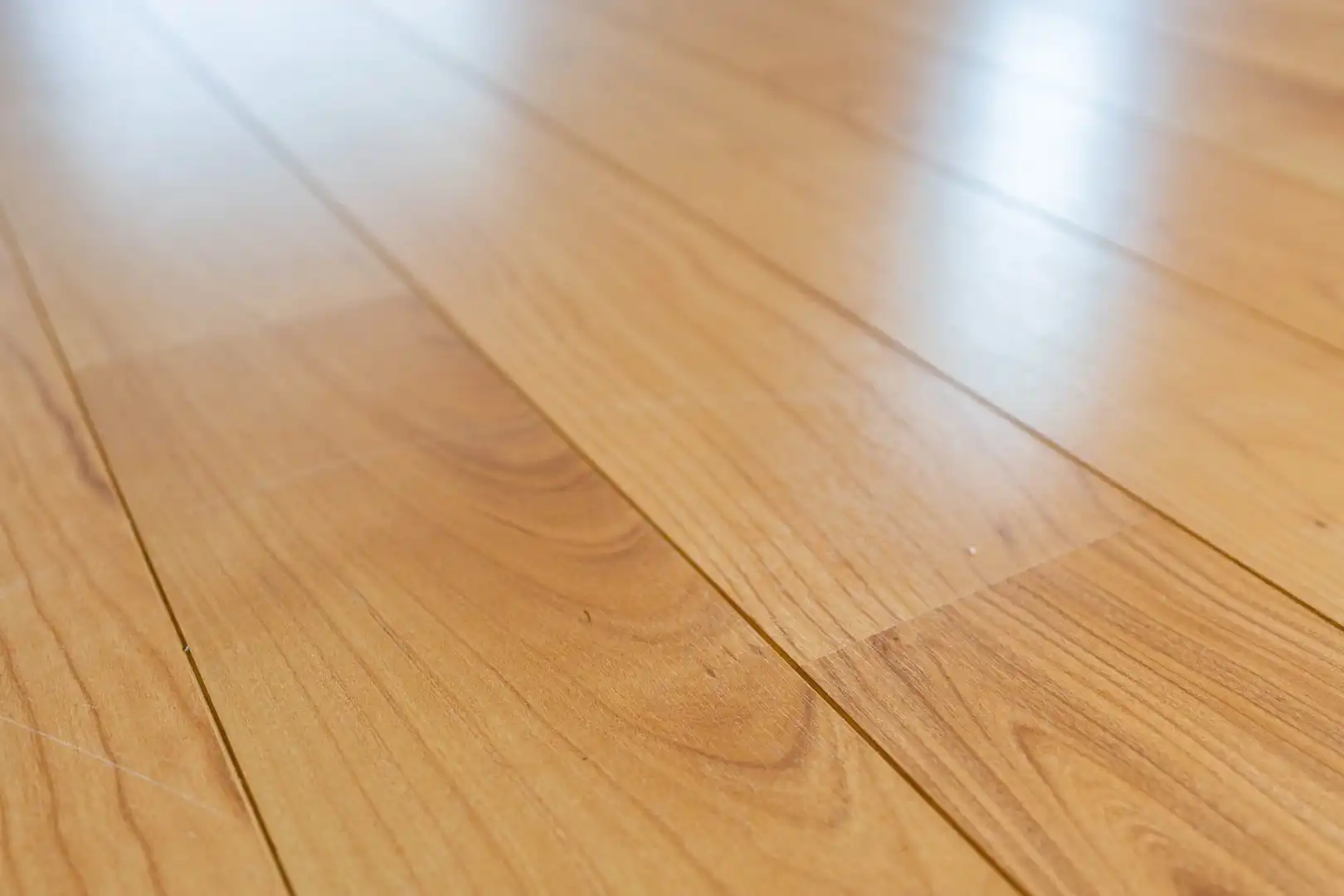 Huis te koop foto 24