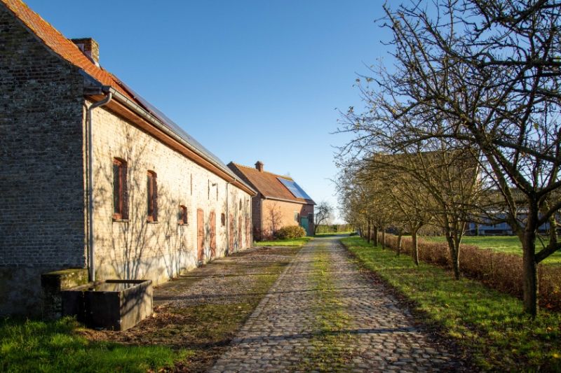 Kortemark: Een exclusief gelegen landgoed te midden van uitgestrekte landerijen op 4 hectare, met bijgebouwen en weideland. Een potentieel paradijs voor paardenliefhebbers of een toeristische onderneming. Een unieke kans! foto 7