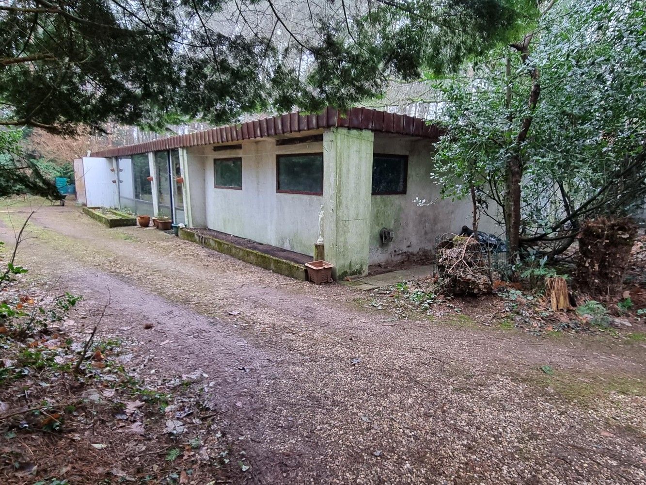 Uitermate rustig gelegen woning, temidden van bosgebied op 1ha 23a 82ca. foto 2