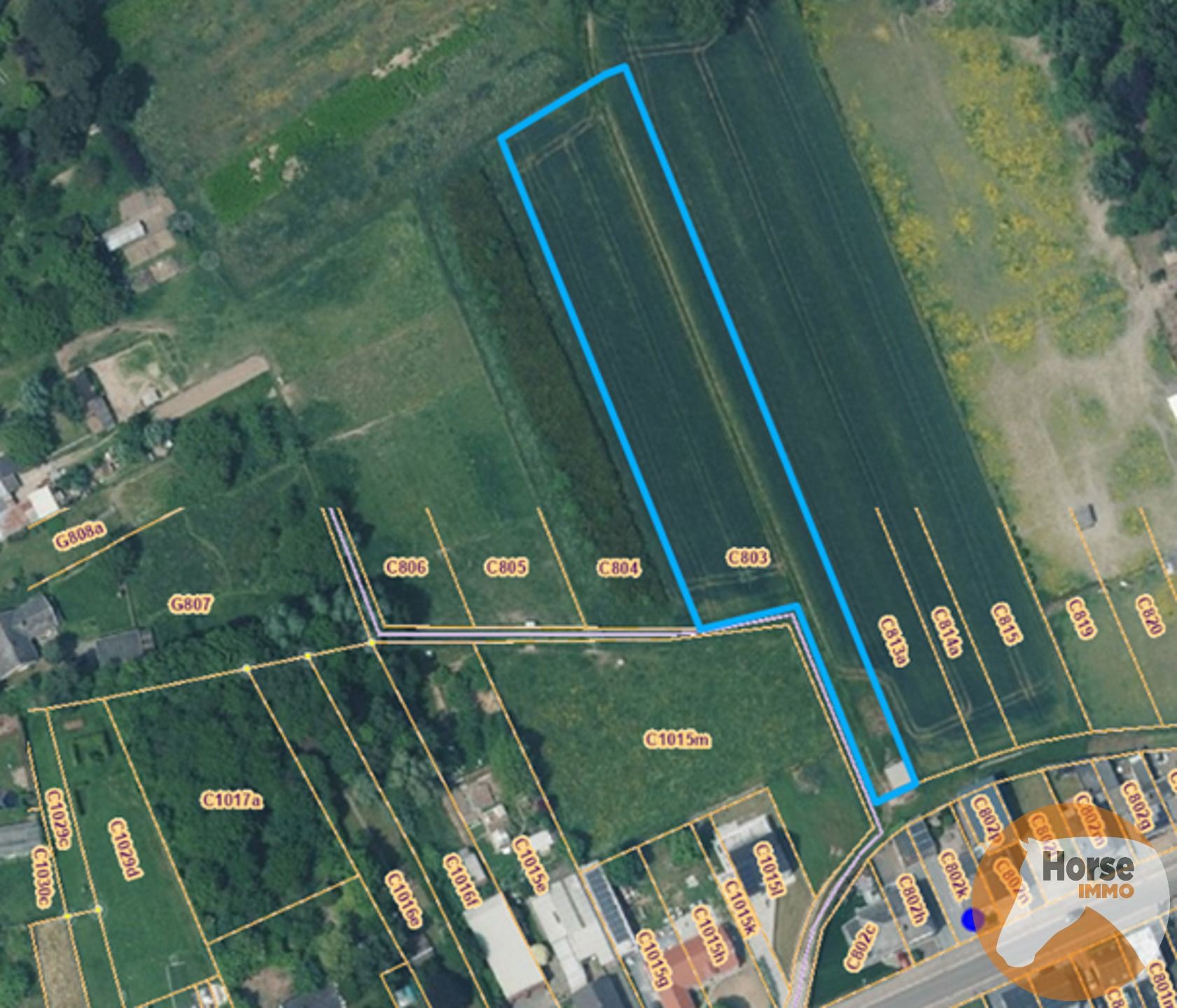 HOFSTADE - Weide van +/-50are foto 2