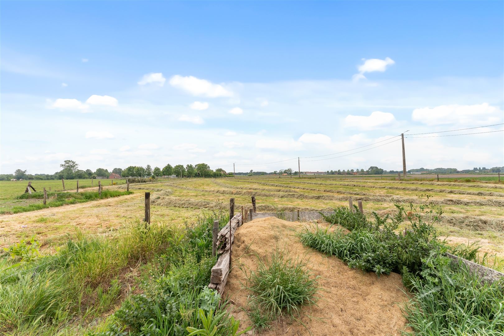 Boerderij foto 18