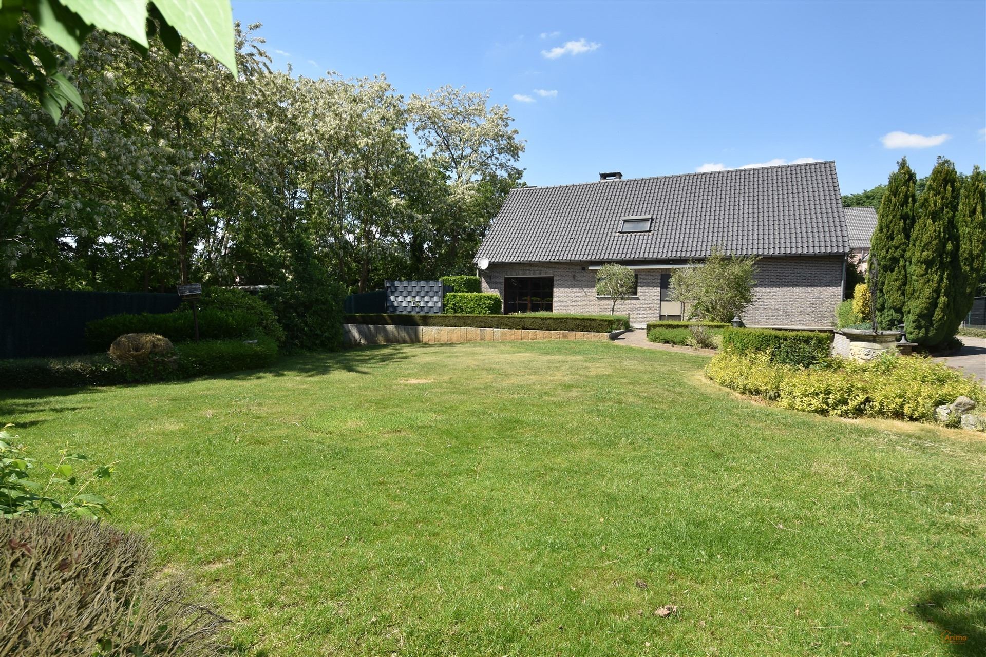 Huis foto 4