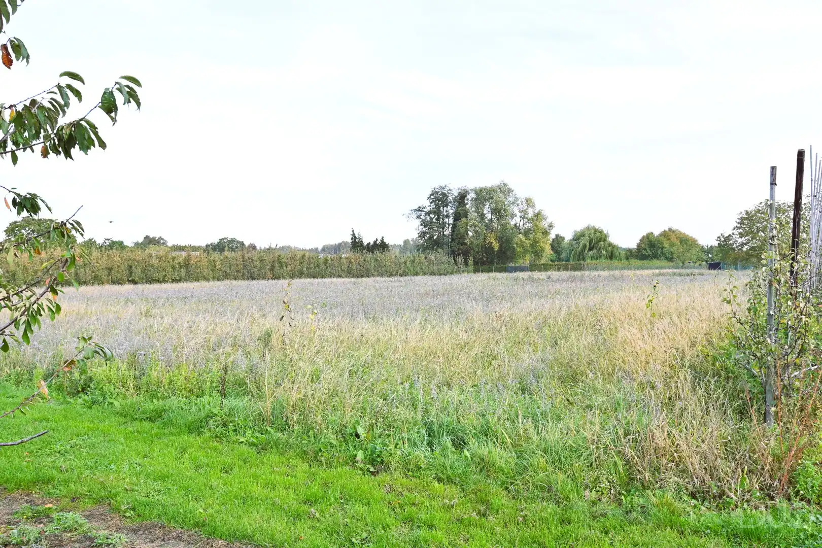 Pachtvrije landbouwgrond van 3ha 65a 46ca met volledige uitrusting – Gippershovenstraat, Zepperen foto 7
