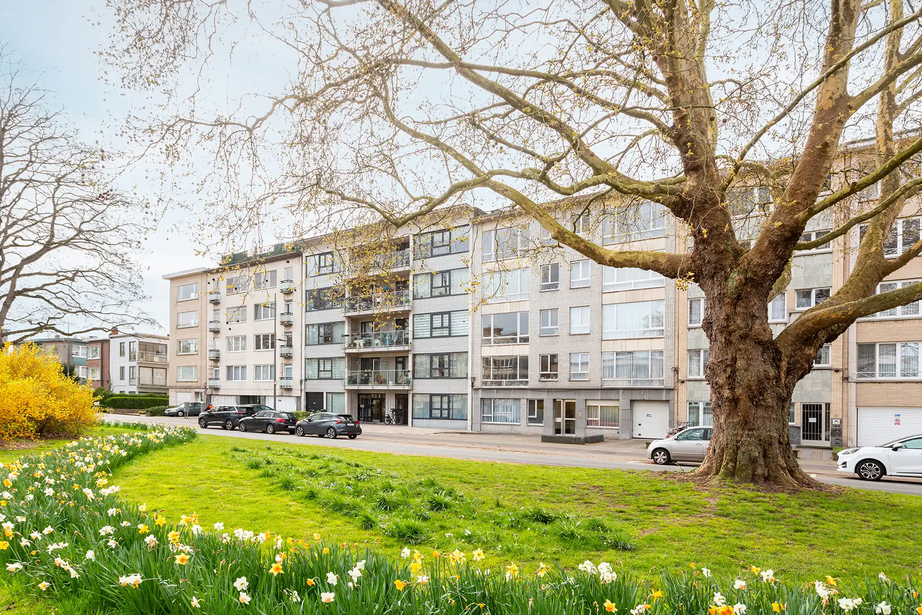 Wilrijk - Gerenov.  2 à 3 slaapkamer app. met terras + P  foto 20