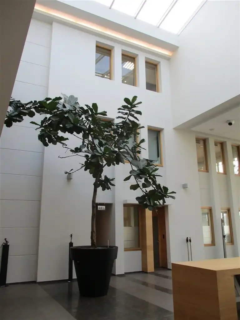 Kantoren van 294 m² te huur, vlakbij het Klaverblad foto 3
