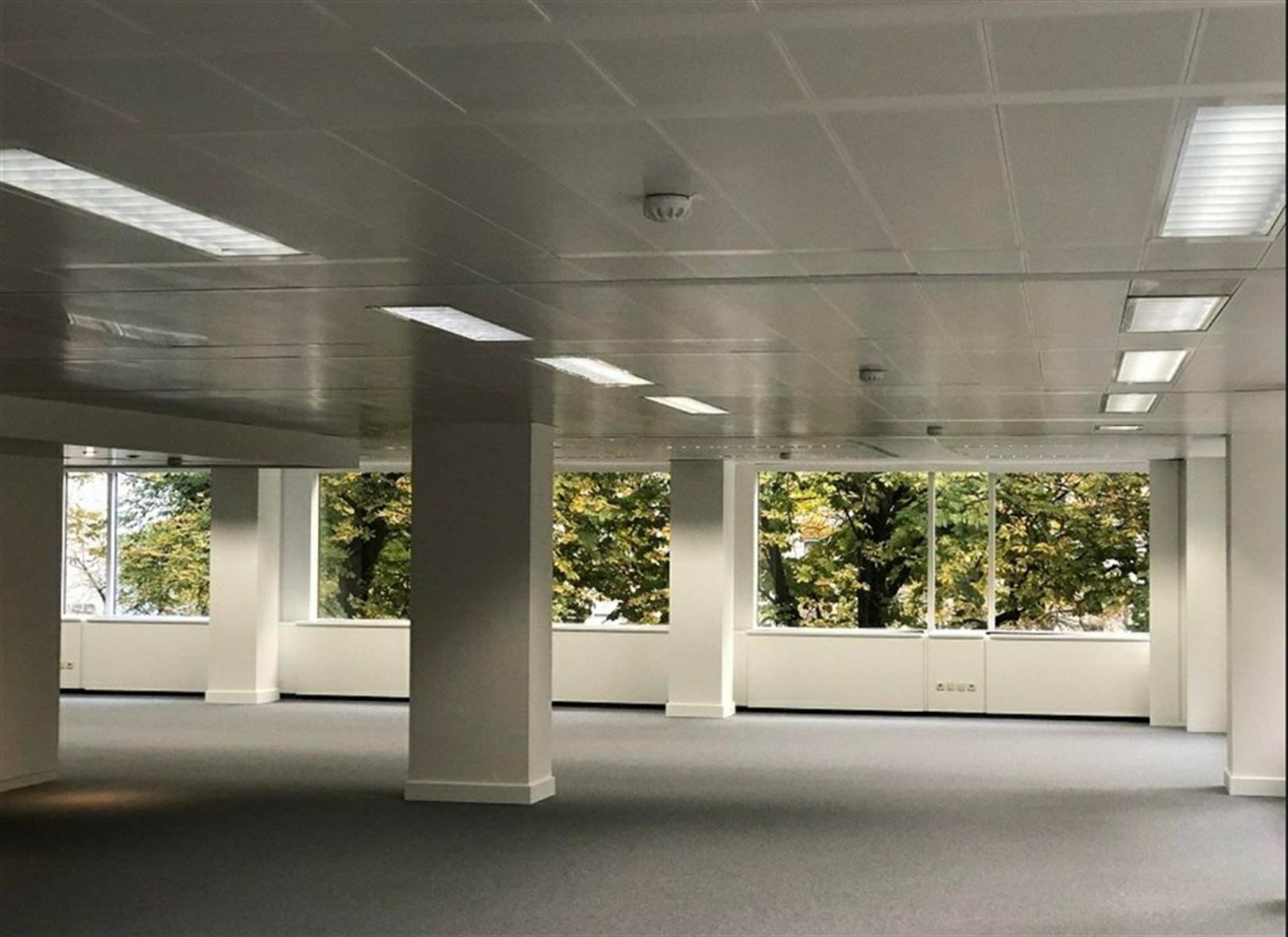 LOUISE CLAUS - vanaf 458m² foto 2