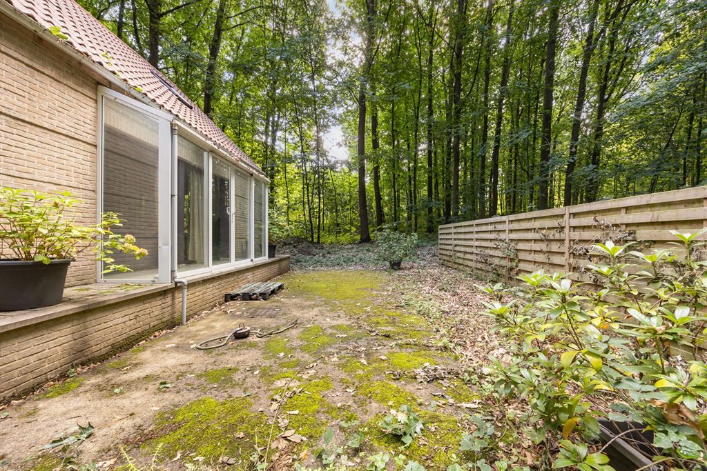 Prachtige vakantiewoning op de Meesberg foto 22