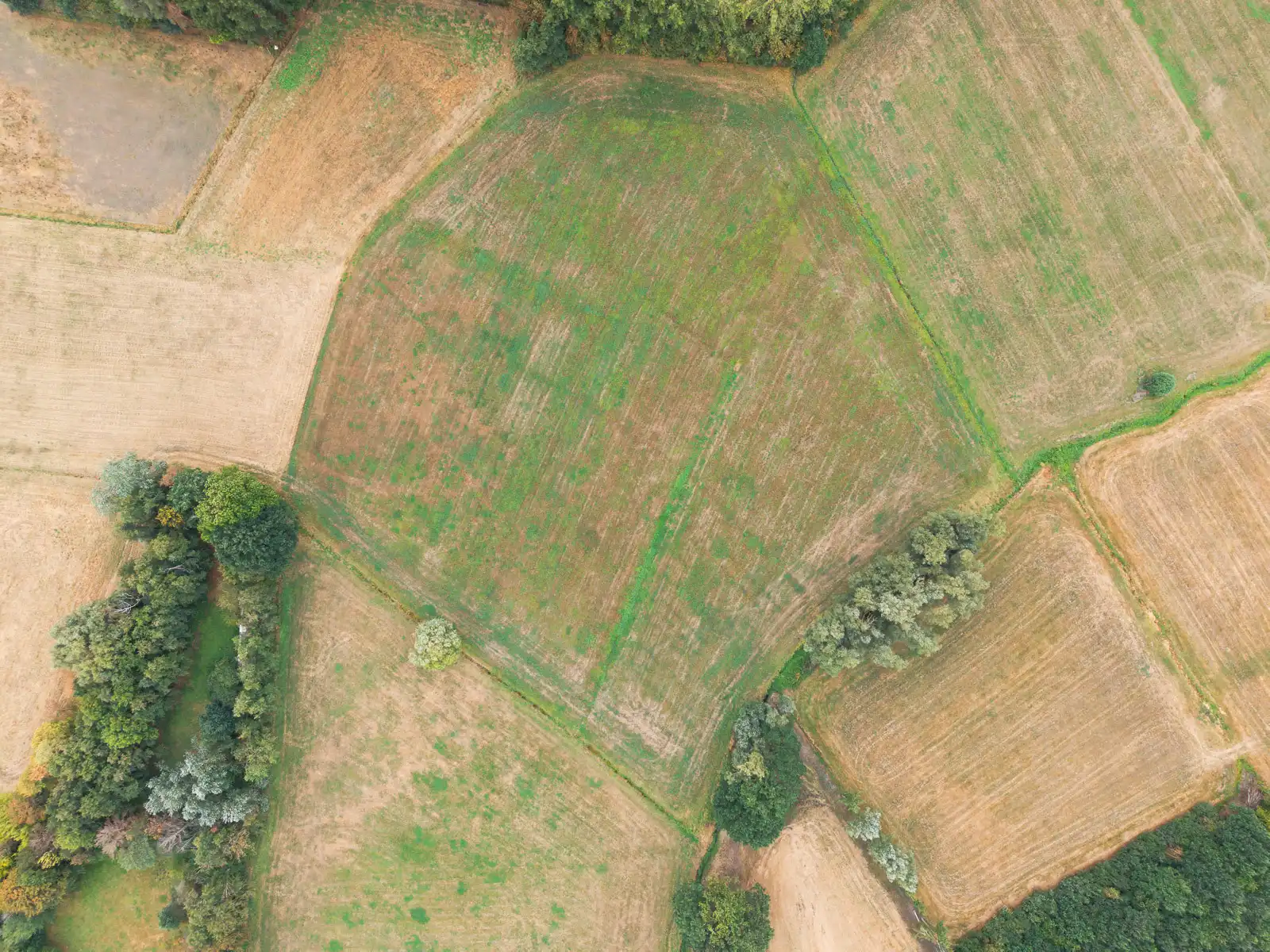 Uitzonderlijk perceel hooiland in agrarisch gebied foto 4