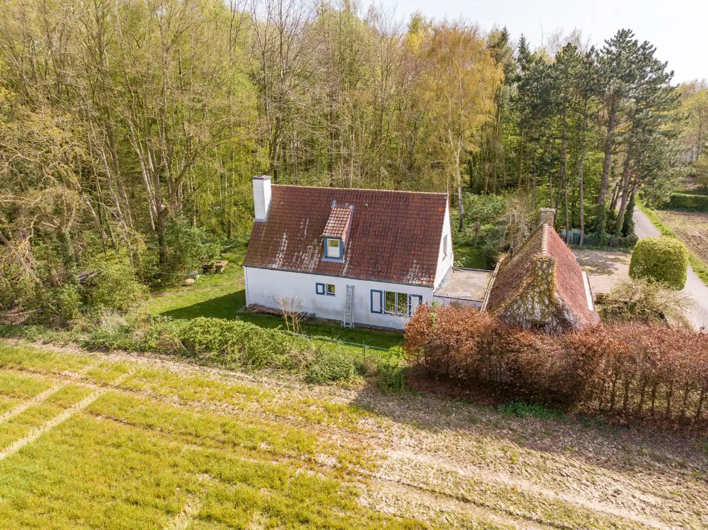 Exclusieve alleenstaande woning te koop in het idyllische en landelijke Kooigem foto 5