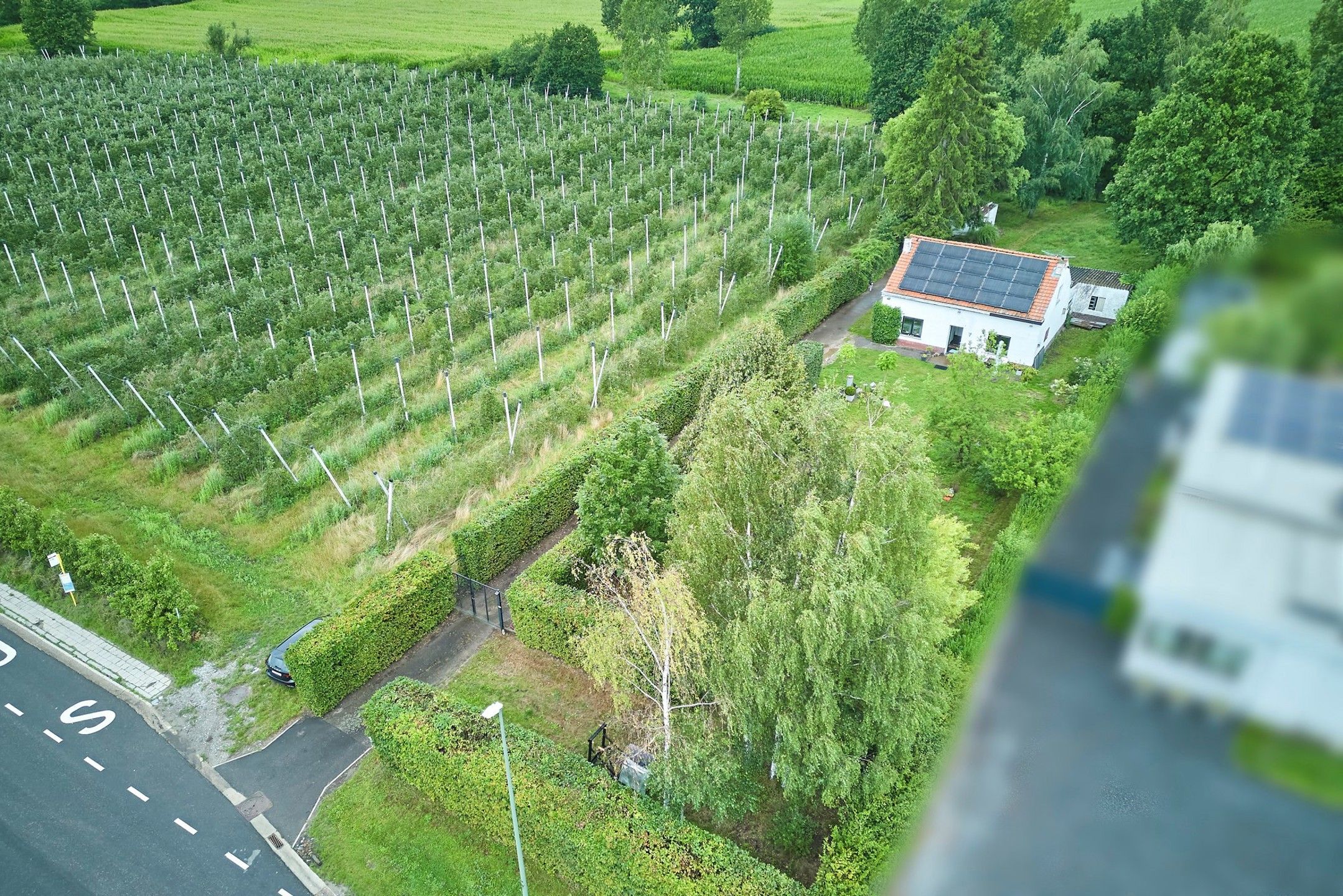 Prachtig gelegen bouwgrond met bestaande woning in het groen foto 2